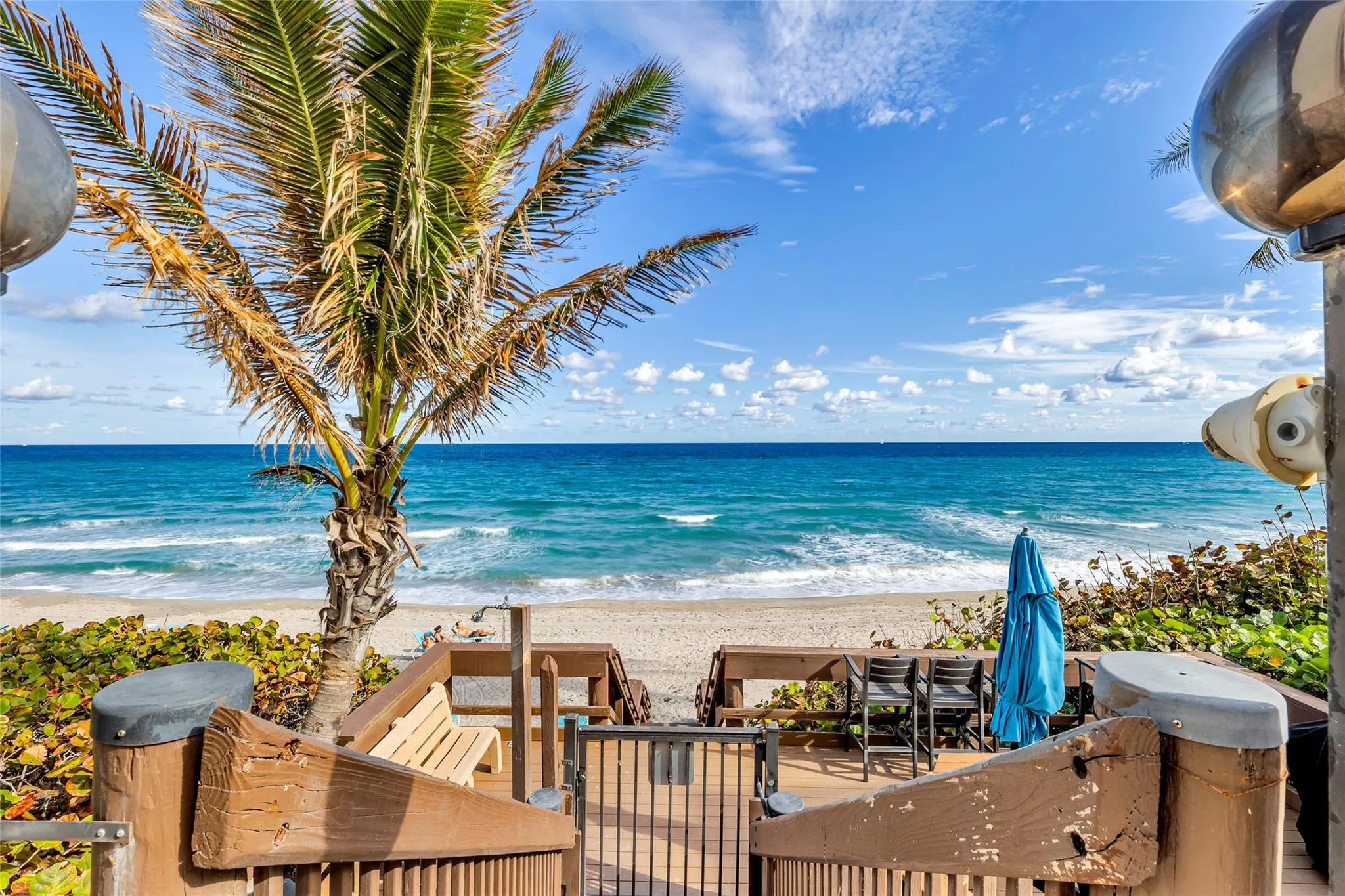 1167 Hillsboro Mile, #306