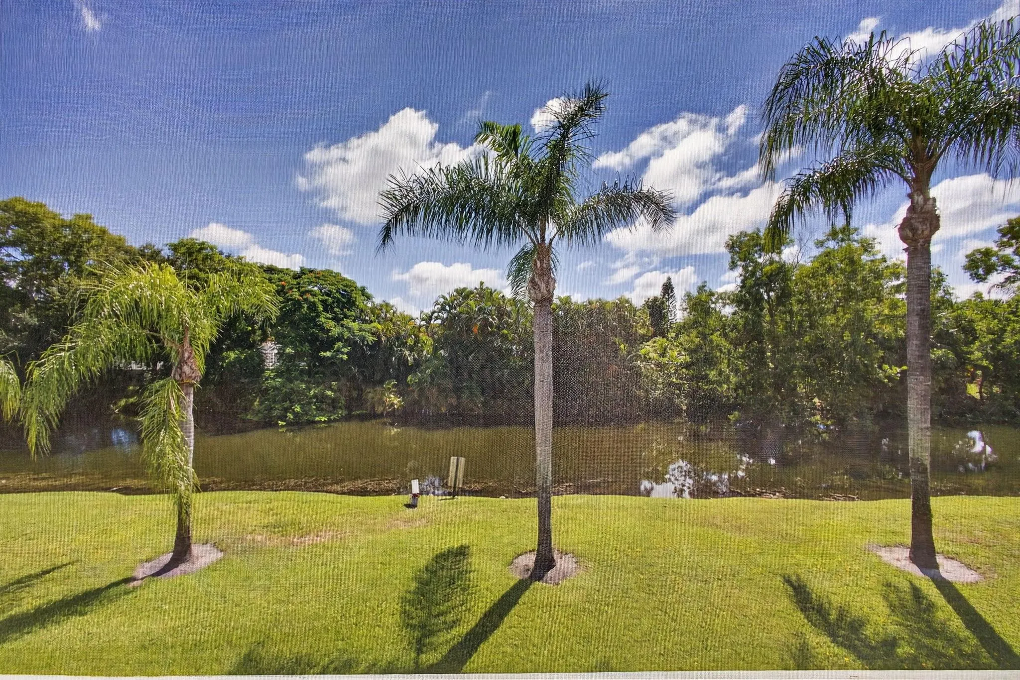 126 Sparrow Dr, #10-B