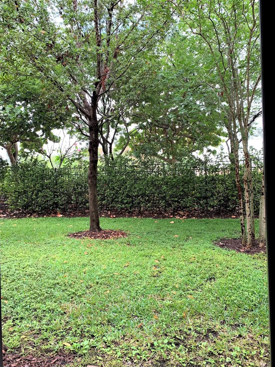 4017 Allerdale Pl