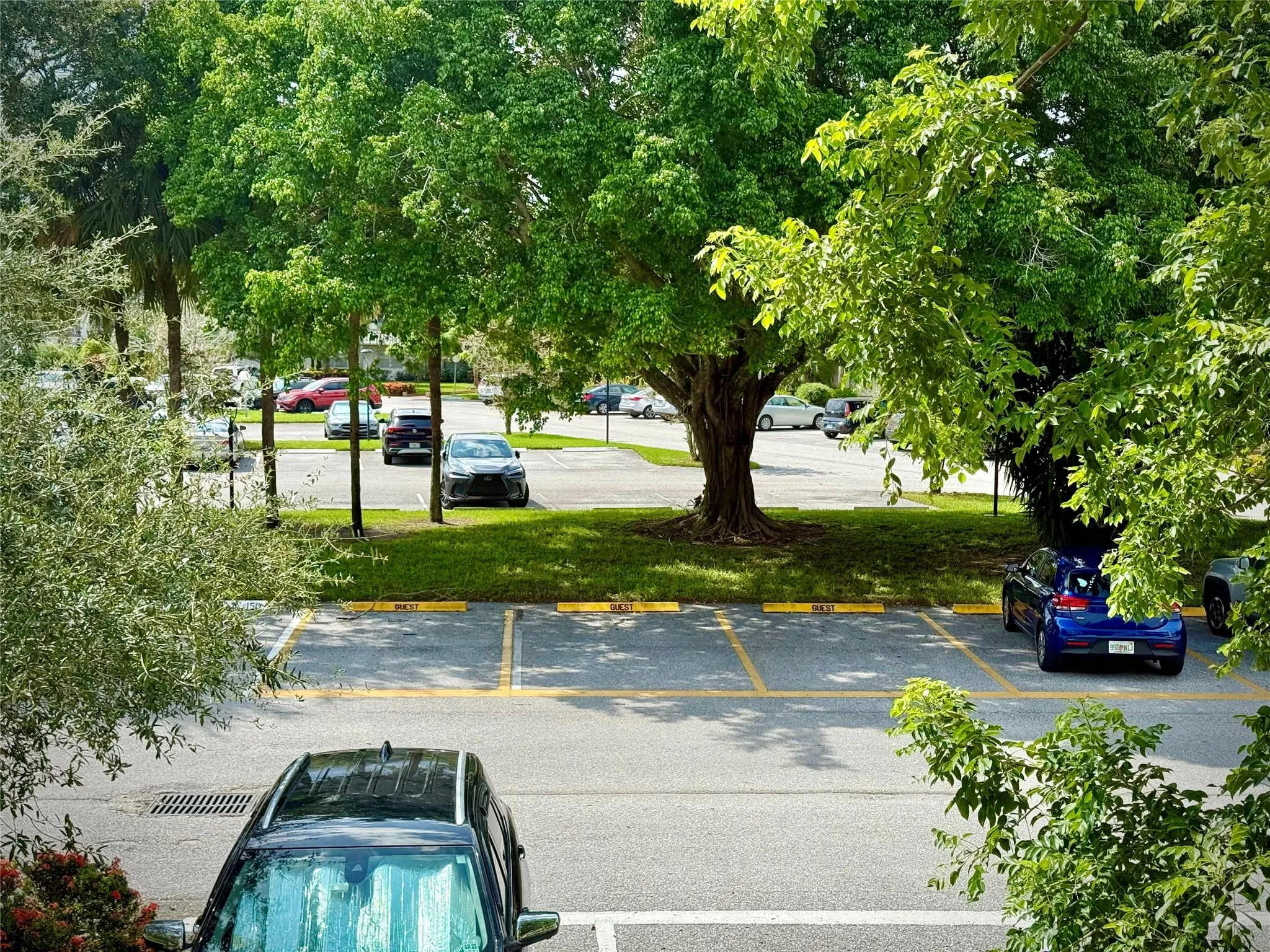 2504 Antigua Ter, #D2