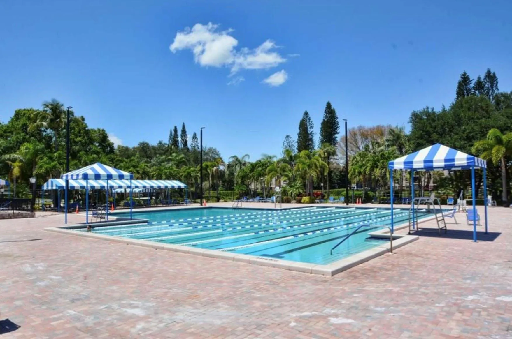 3039 Carambola Cir, #3039