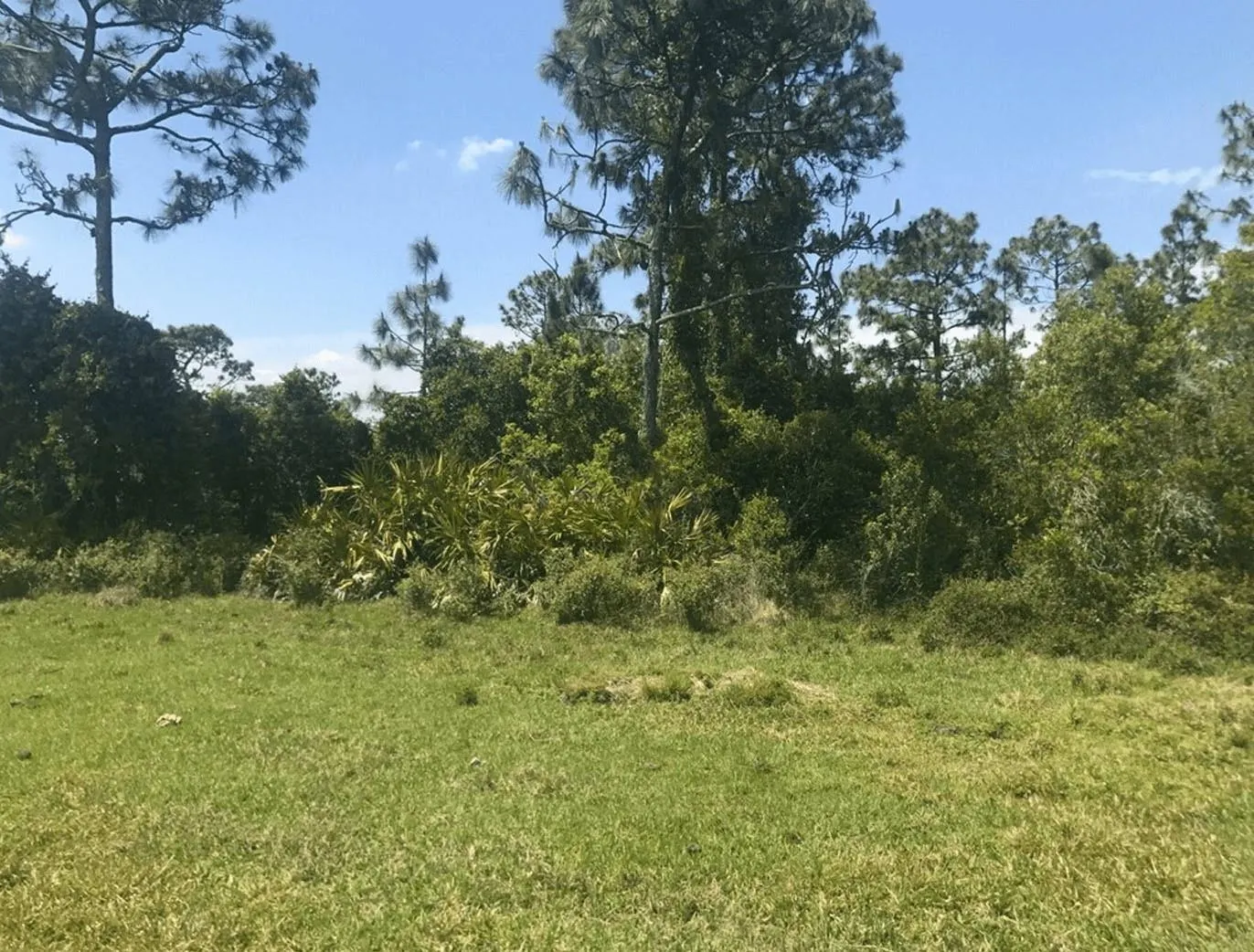 0 HOLOPAW GROVES RD