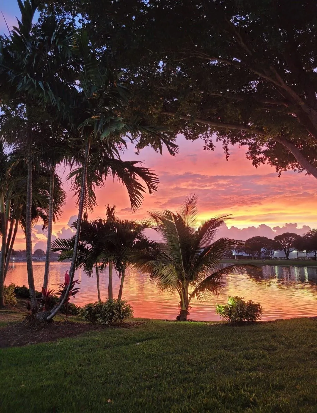 5550 Lakeside Drive, #203