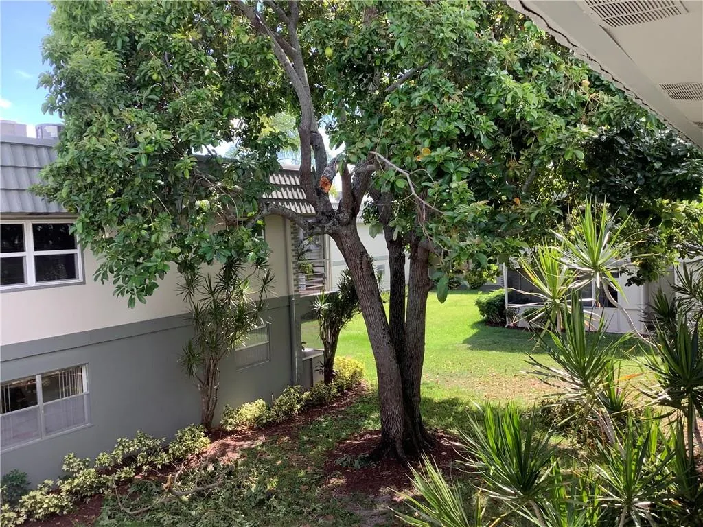 557 Monaco L, #557