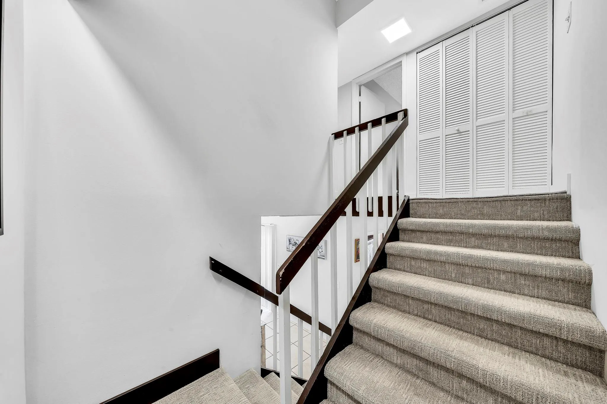 2228 White Pine Cir