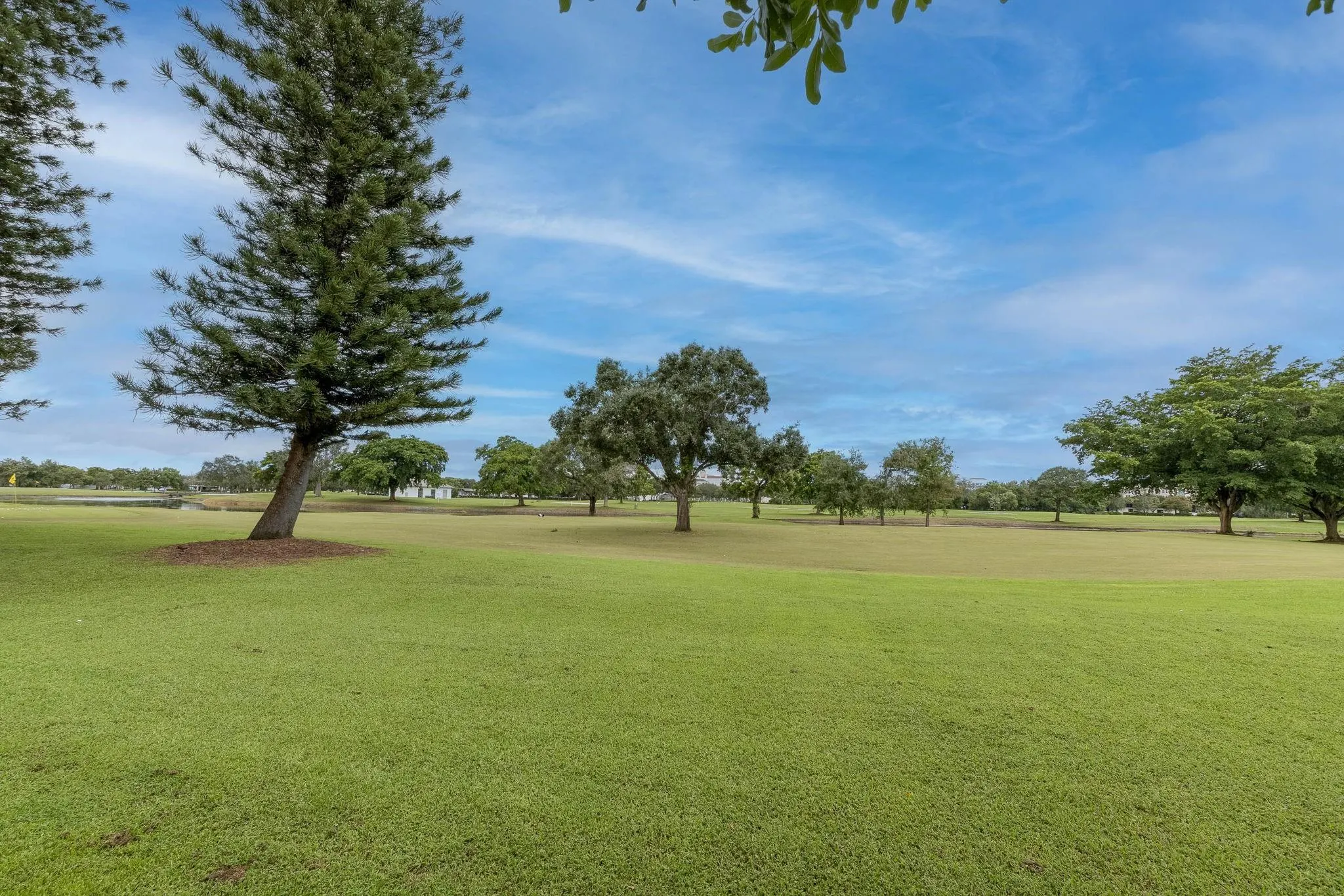 3150 W Rolling Hills Cir, #110