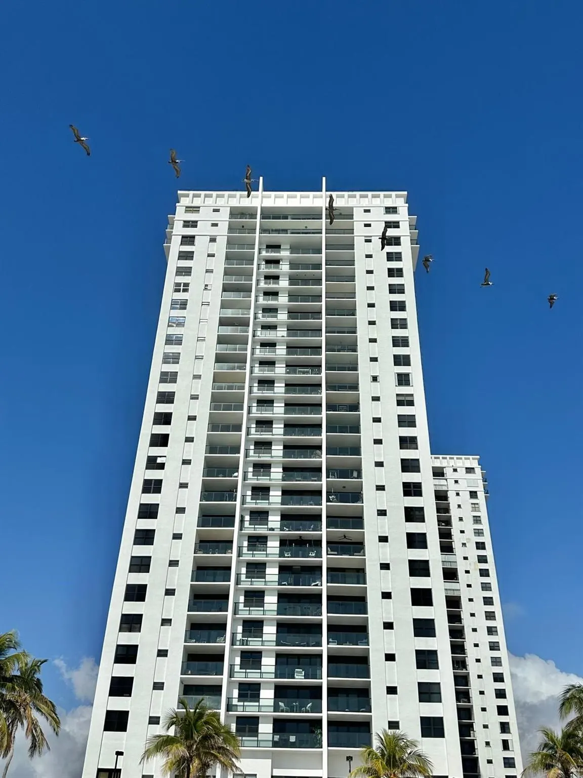 2401 S Ocean Drive, #707