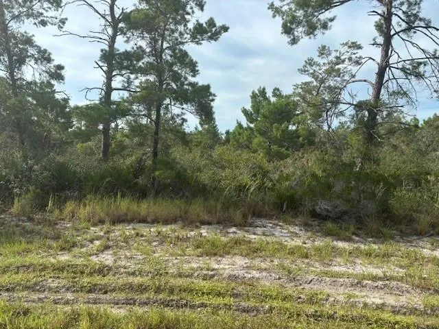 0 Cypress St