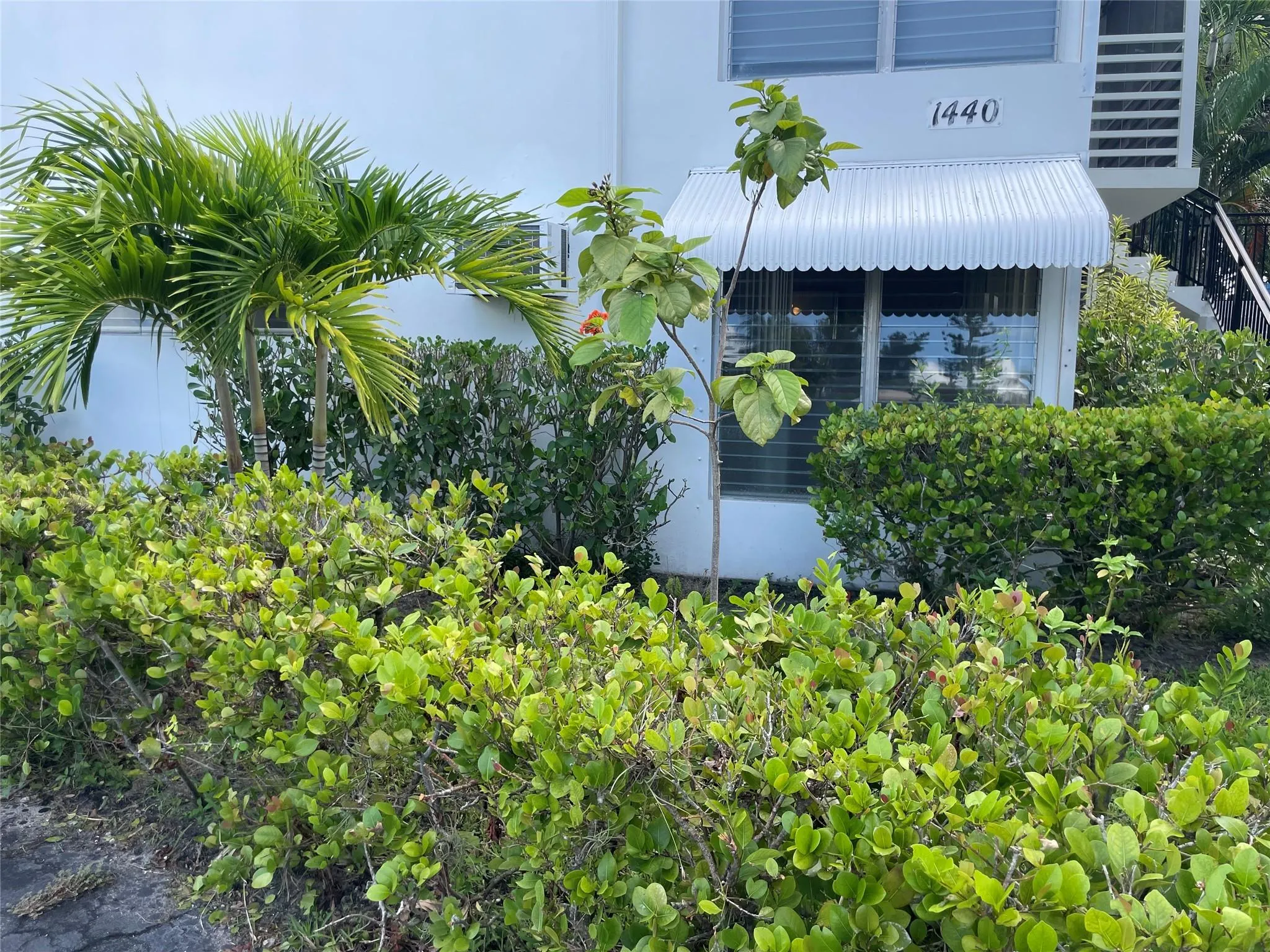 1440 SE 10th Ave, #1A