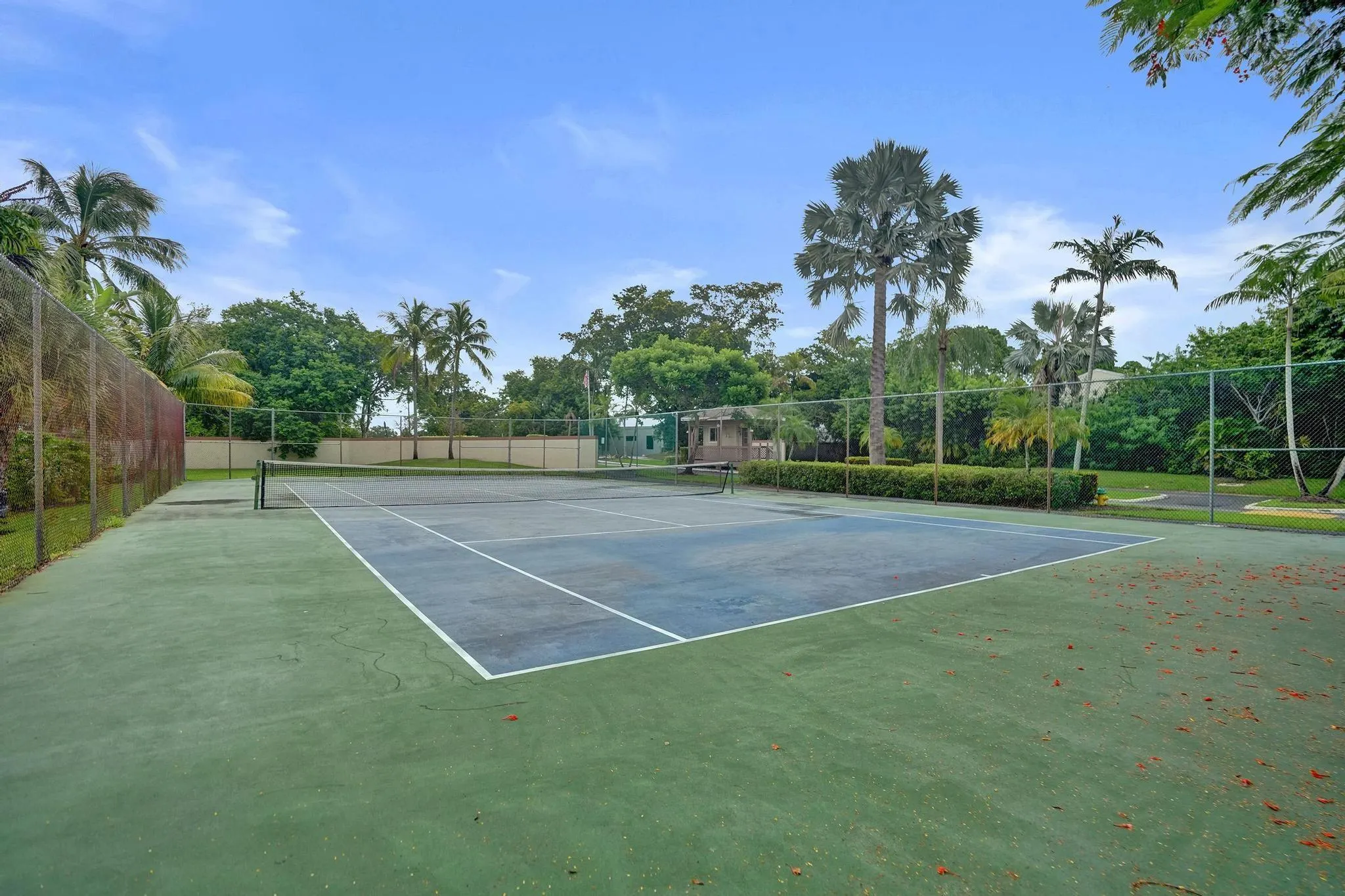 251 W Hemingway Cir, #251