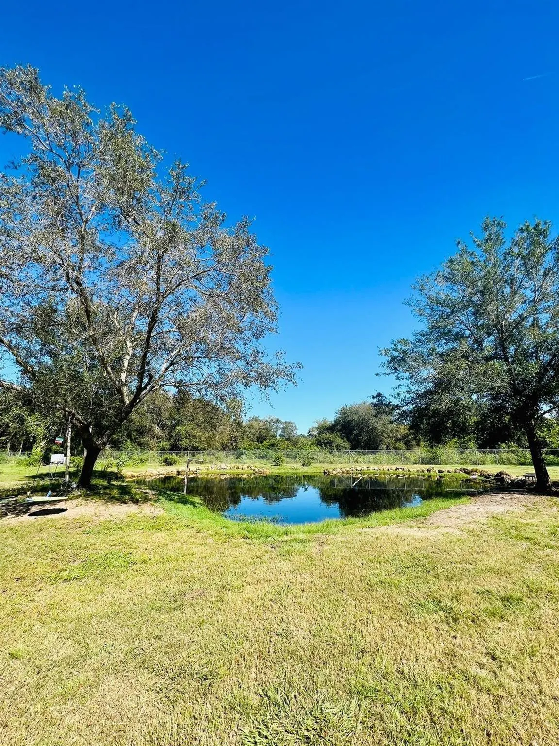 175 Bald Cypress Ave