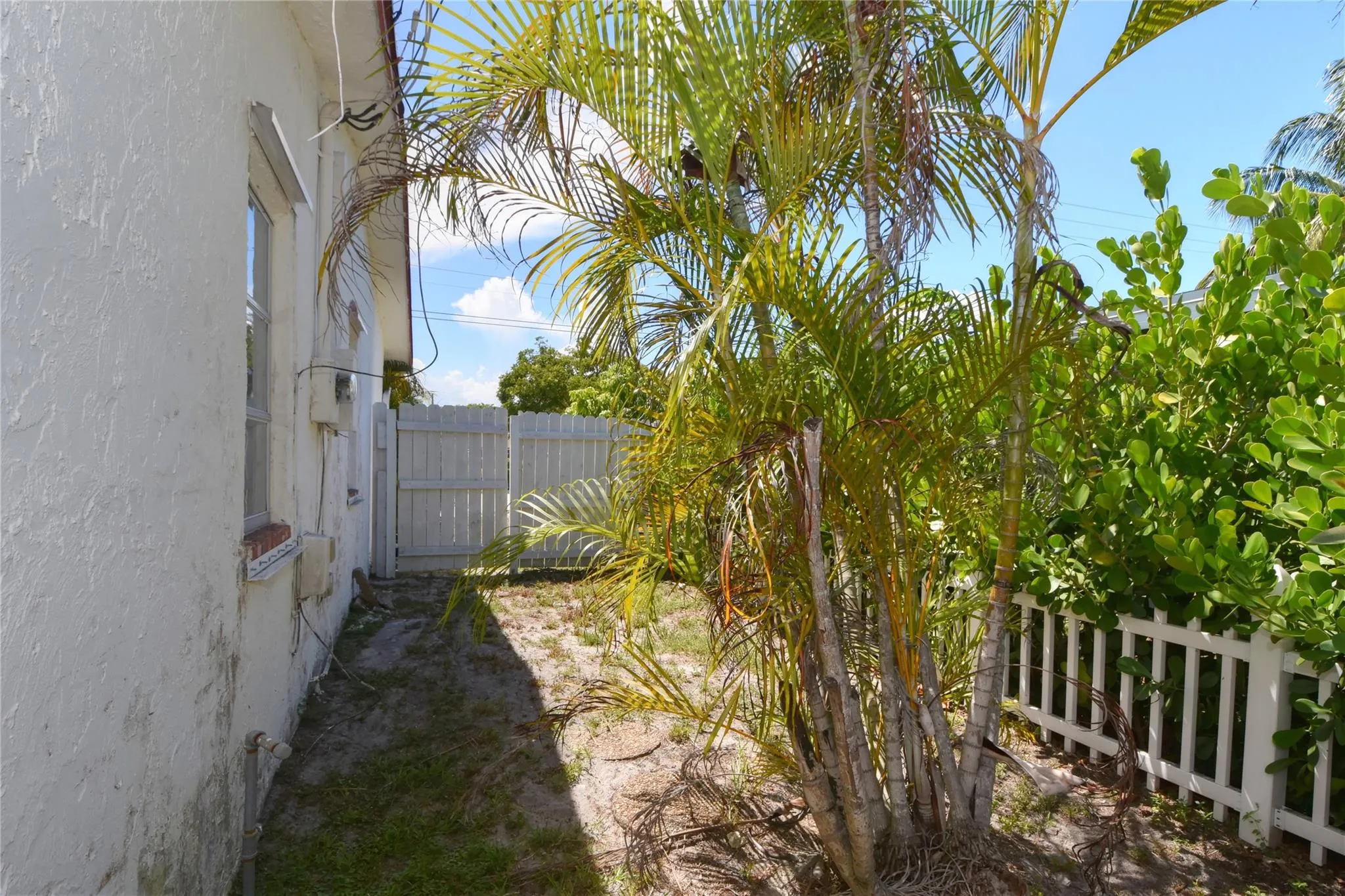 1240 S Cypress Rd