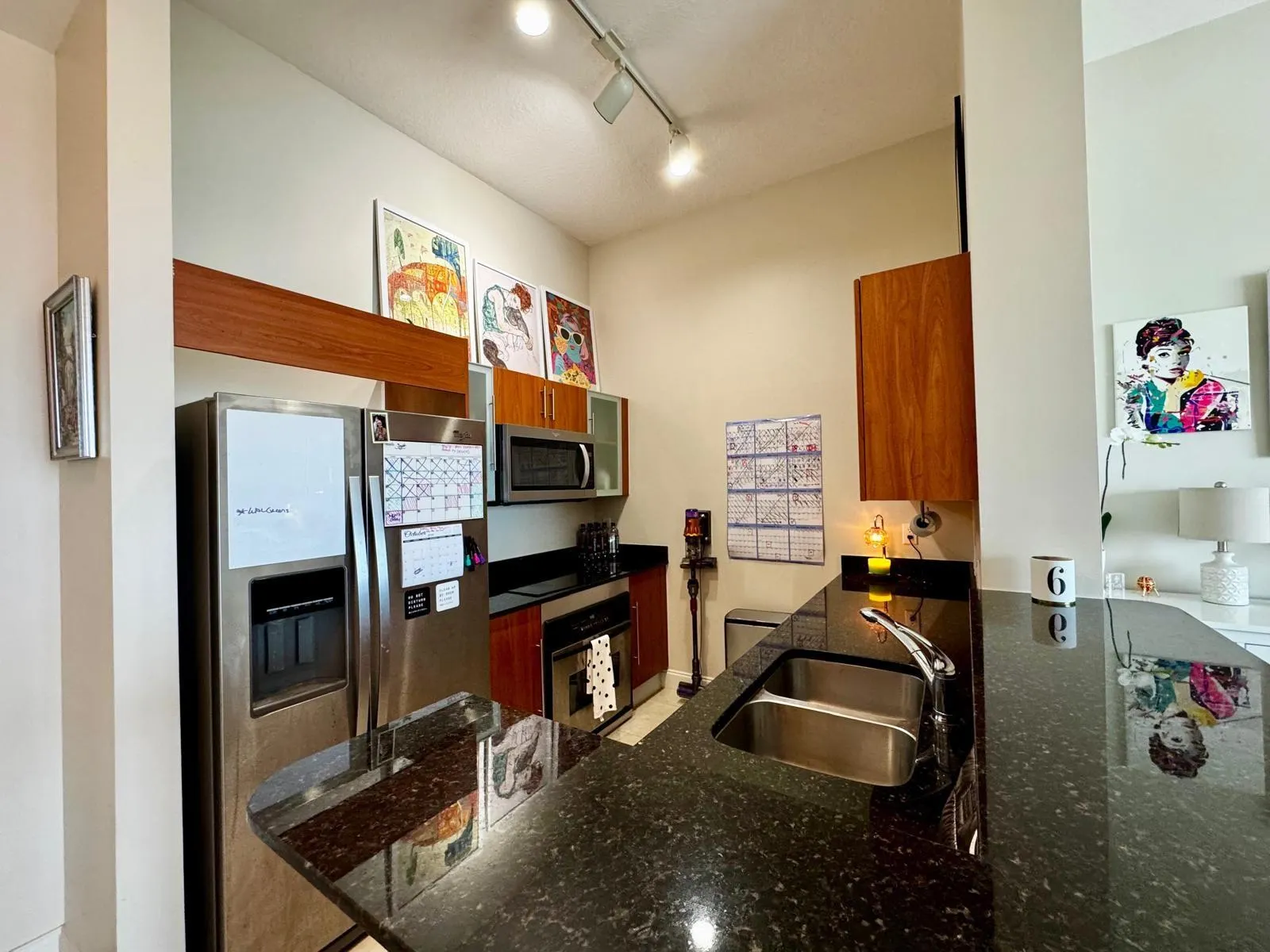 325 S Biscayne Blvd, #LPH18