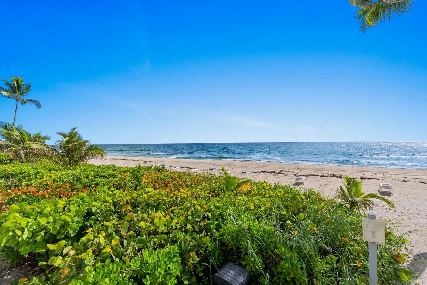 3221 S Ocean Blvd, #806