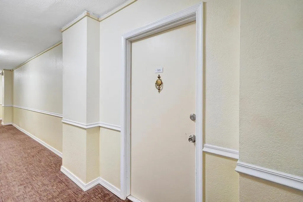 200 S Birch Rd, #305