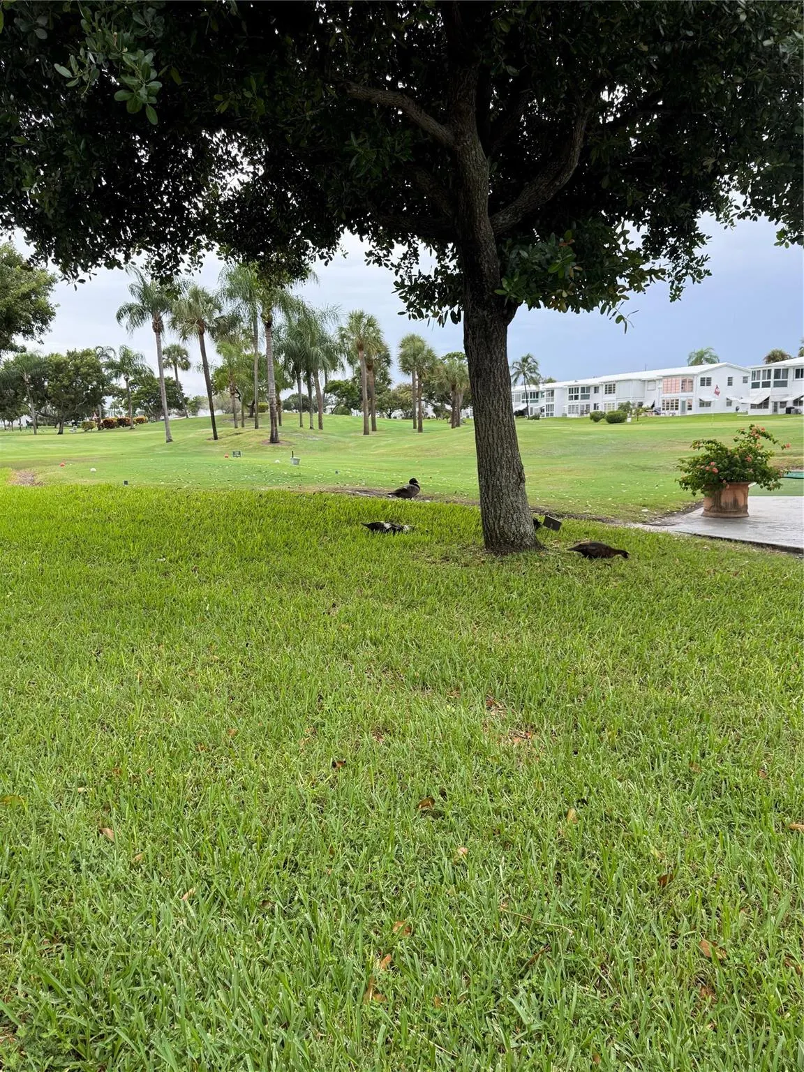 2851 E Golf Blvd, #107
