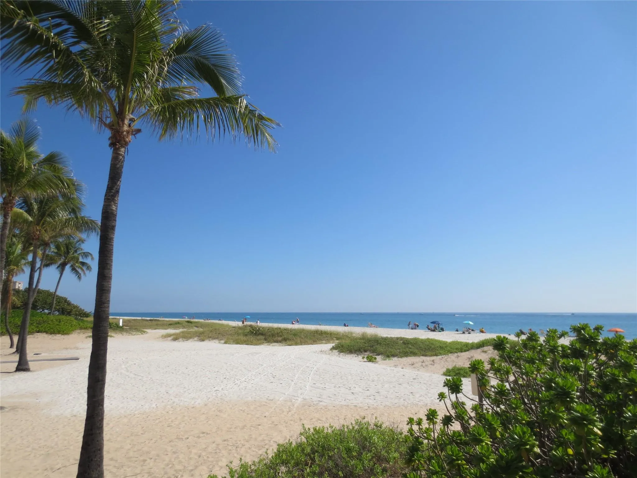 6000 N Ocean Blvd, #6A