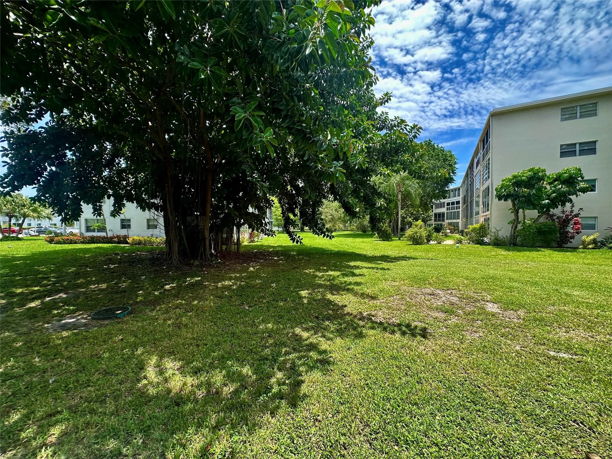 254 Newport P, #254