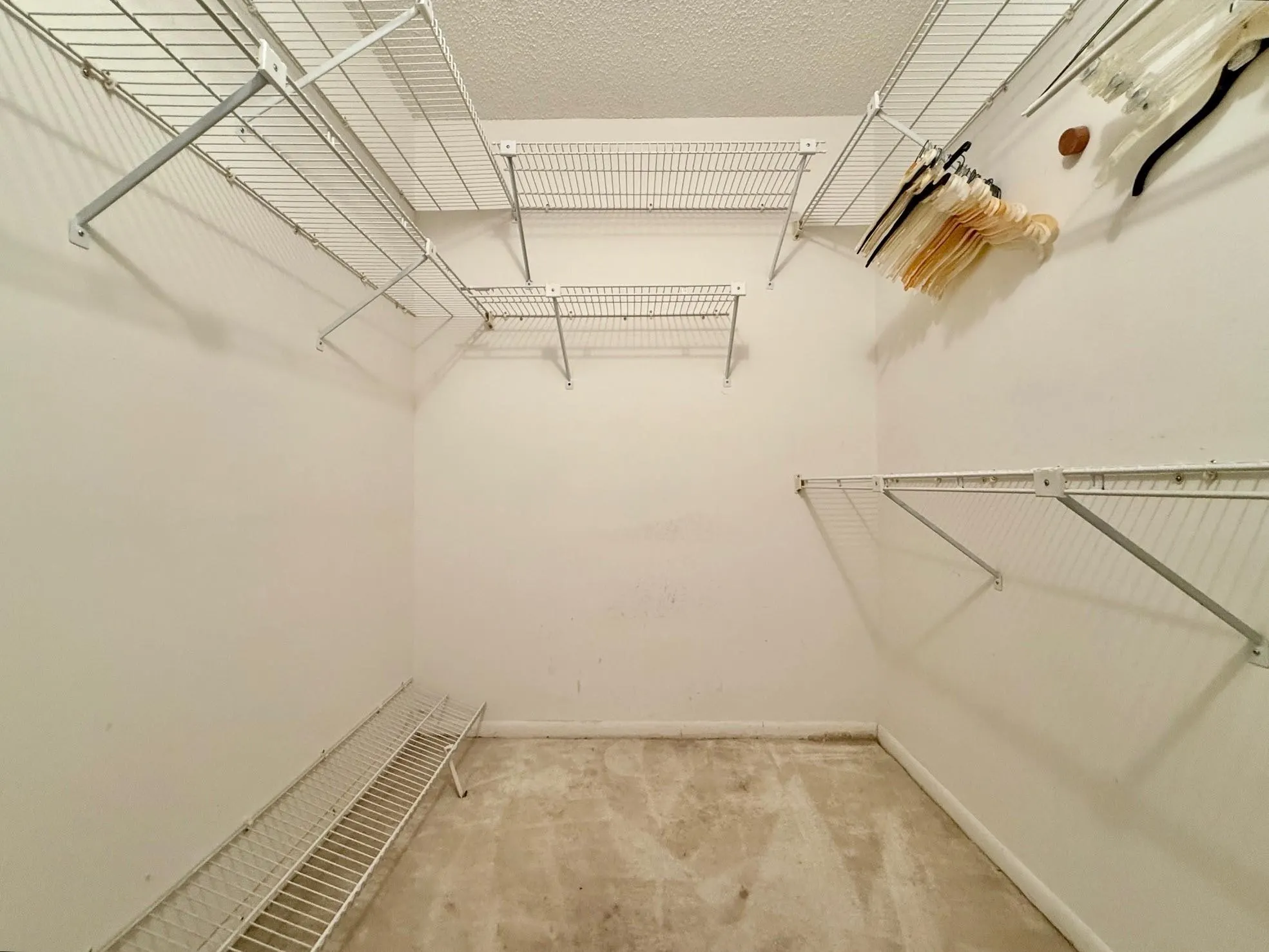 10851 Palm Lake Ave, #202