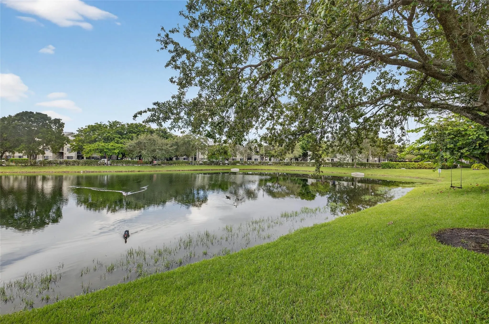 5046 Stagecoach Dr, #5046