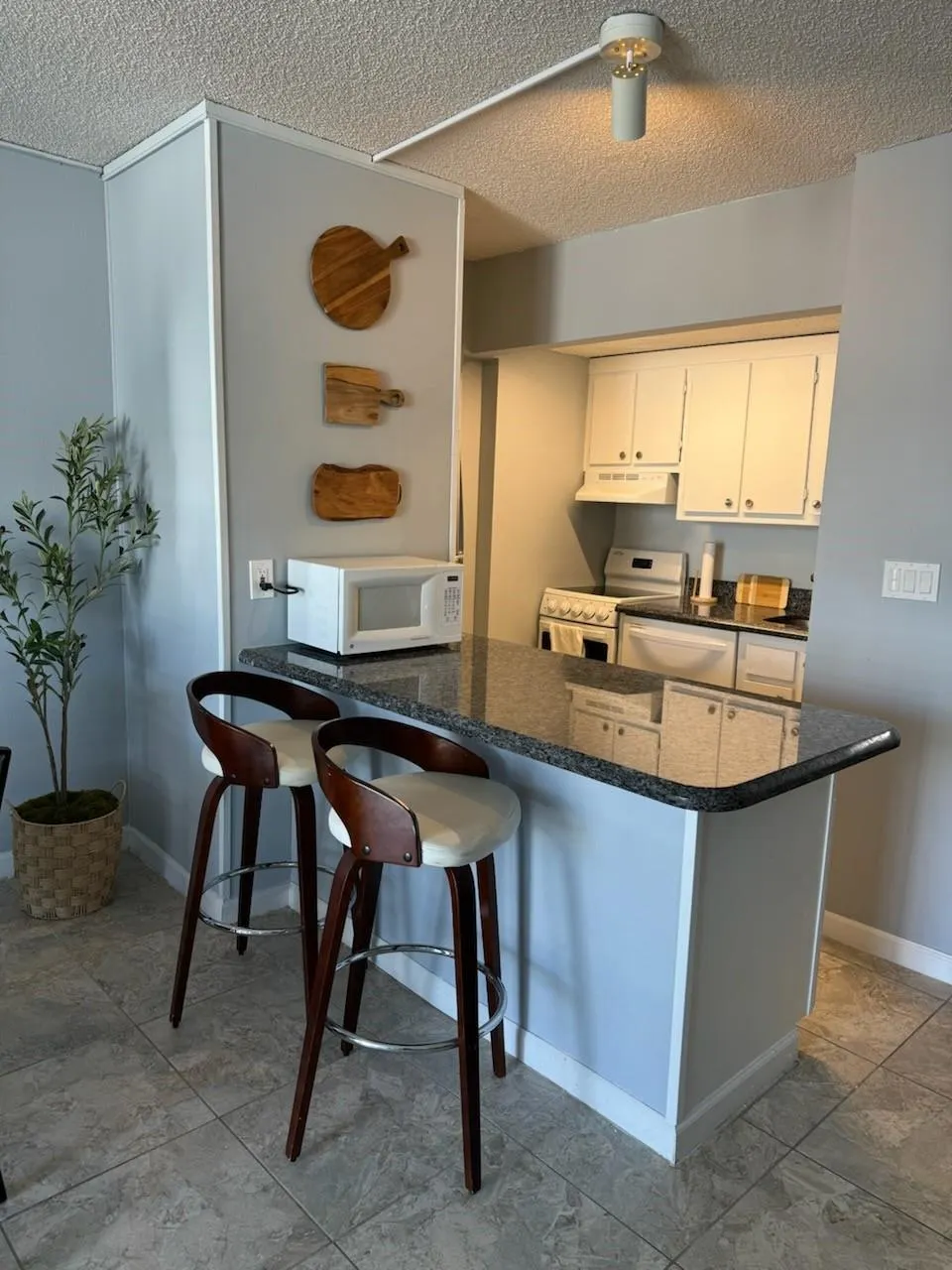 209 N Fort Lauderdale Beach Blvd, #8D
