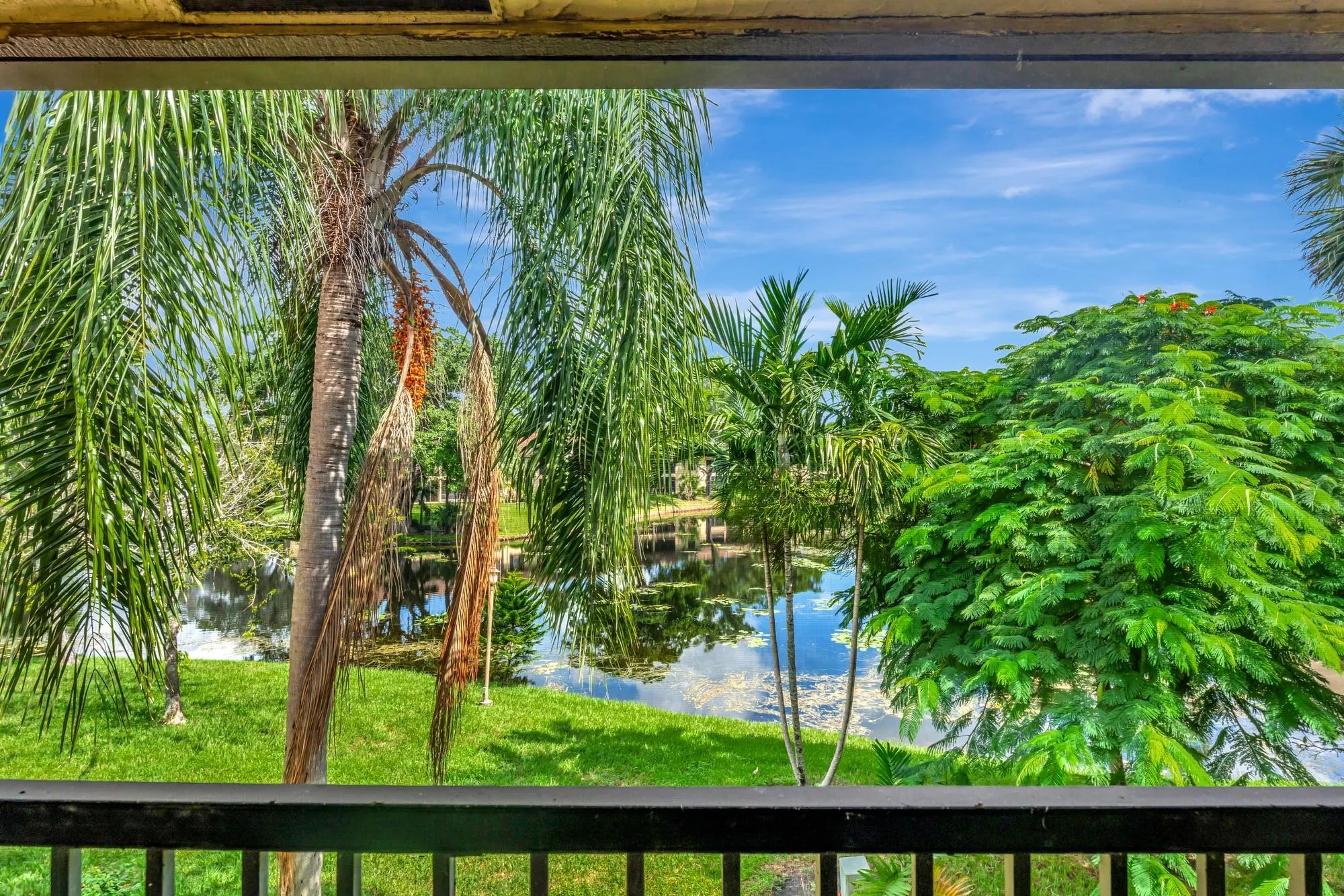 3161 Carambola Cir, #2381