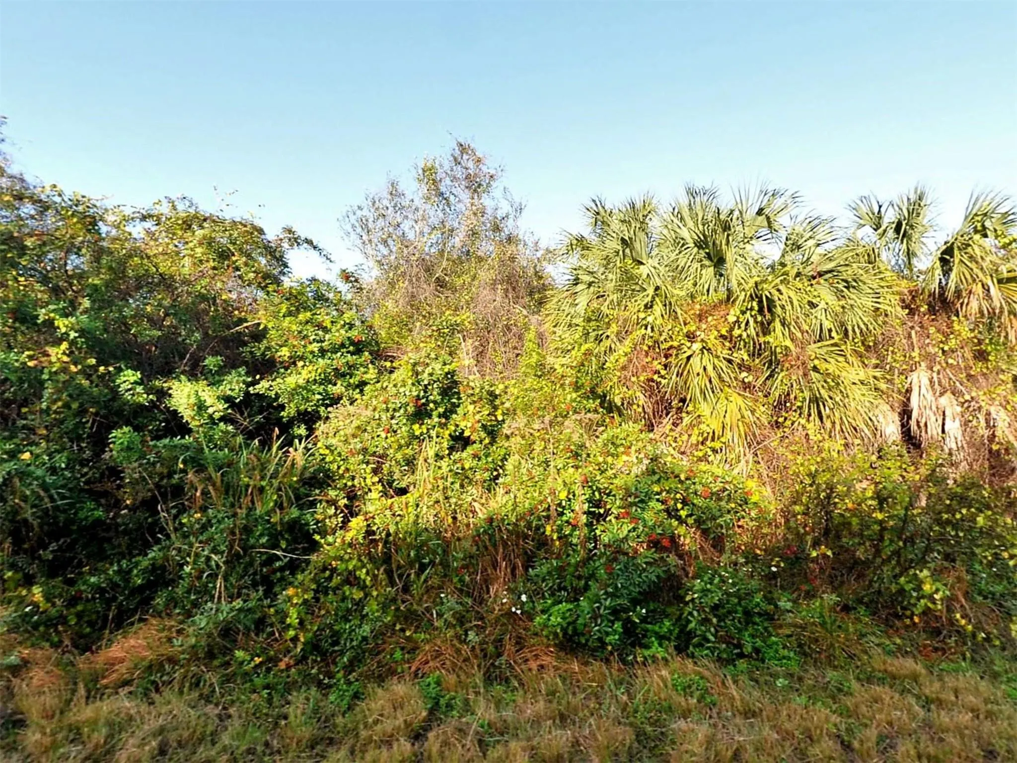 Lot 14 Halo Ave