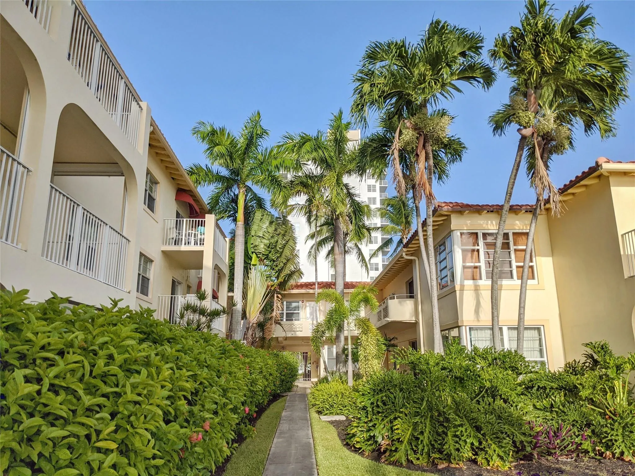 341 N Birch Road, #316