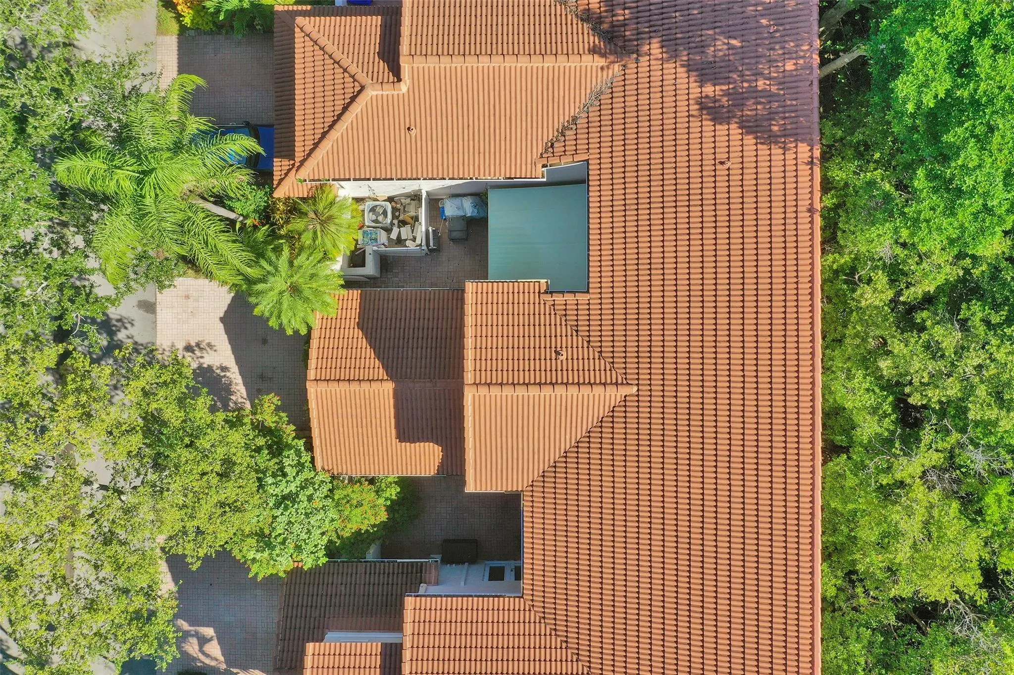 1241 Weeping Willow Way, #1241