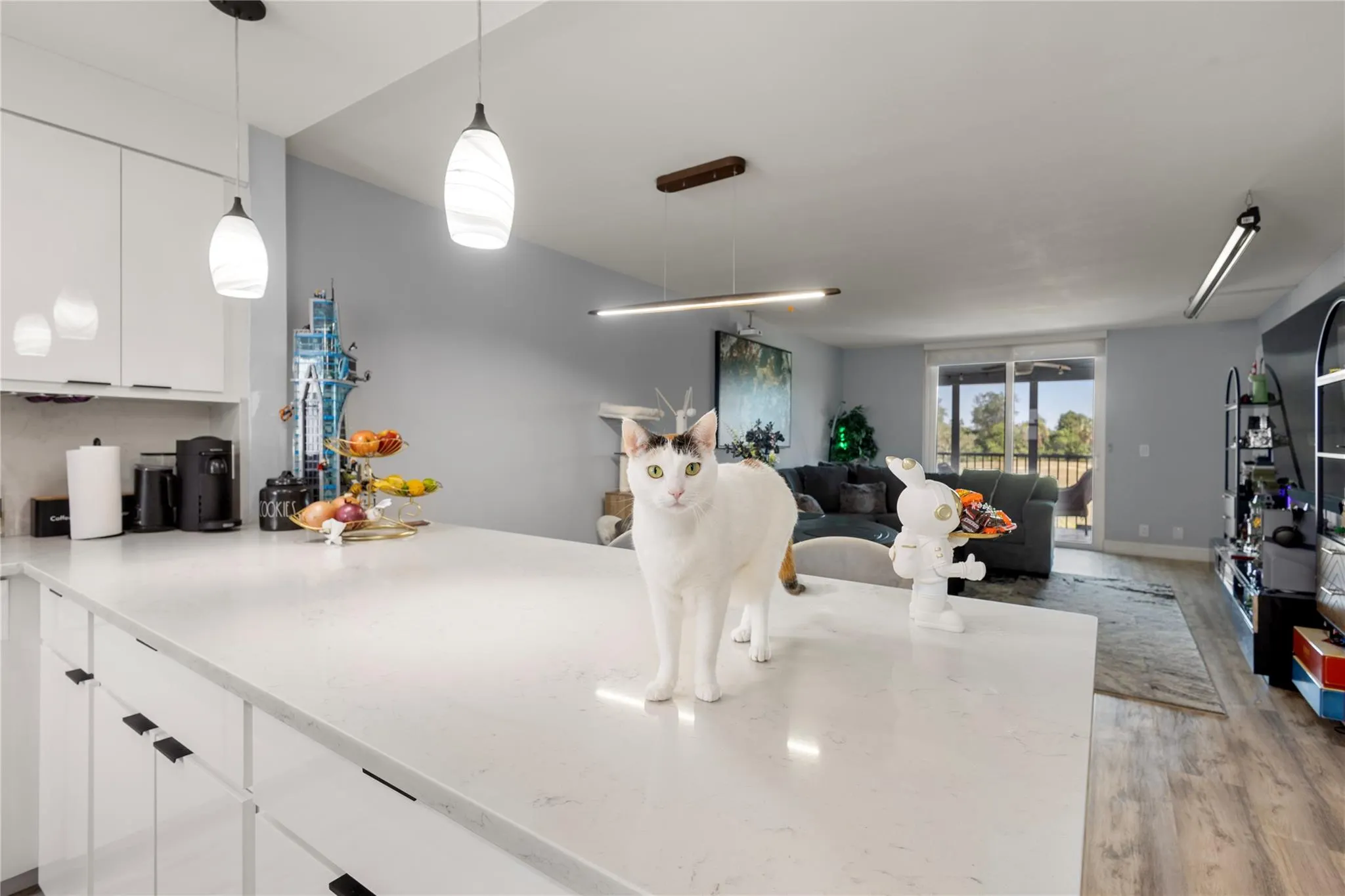 5500 NW 2nd Ave, #316