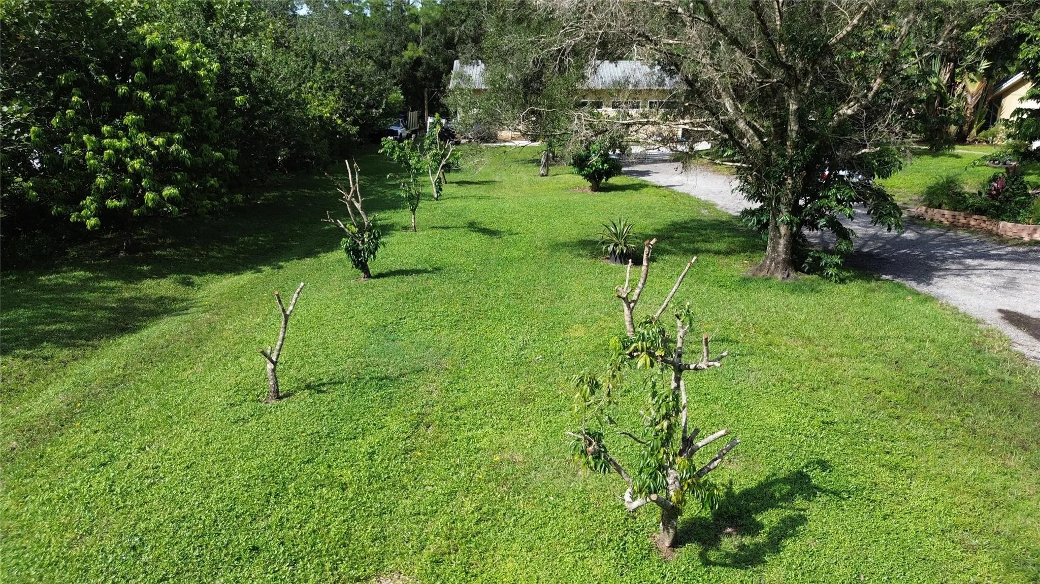 9795 Whippoorwill Trl