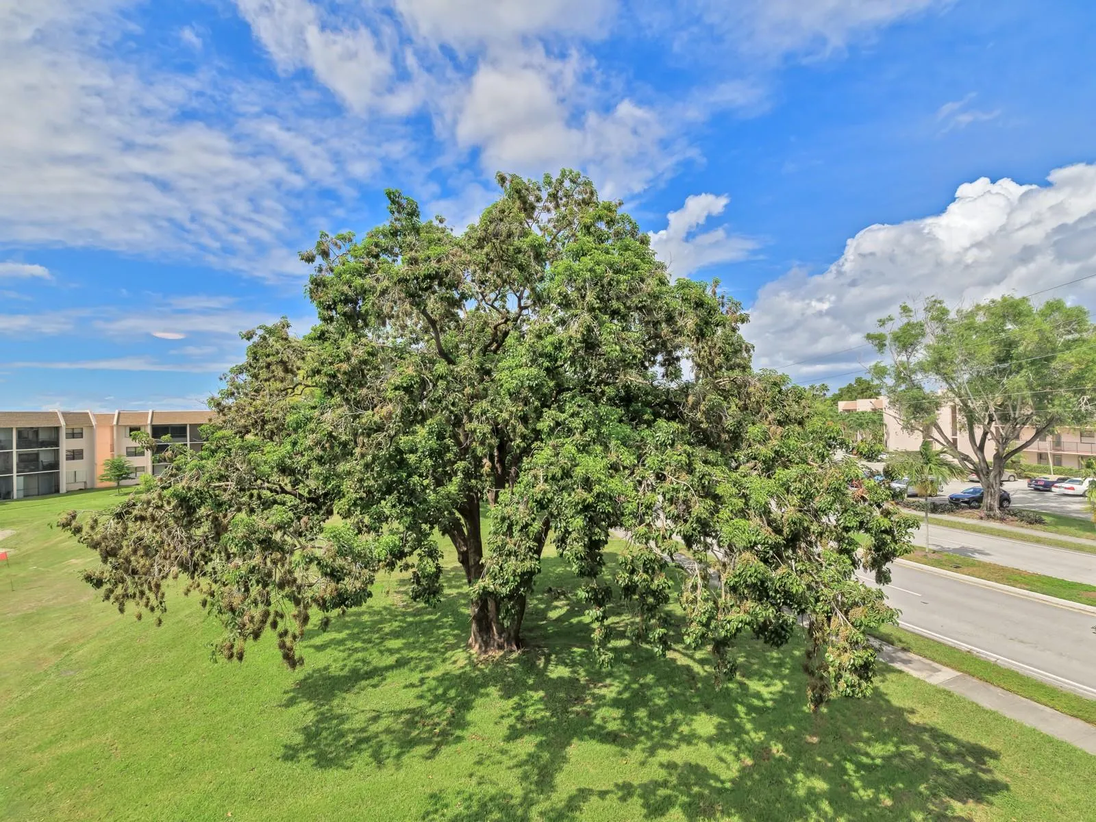 10402 Sunrise Lakes Blvd, #312