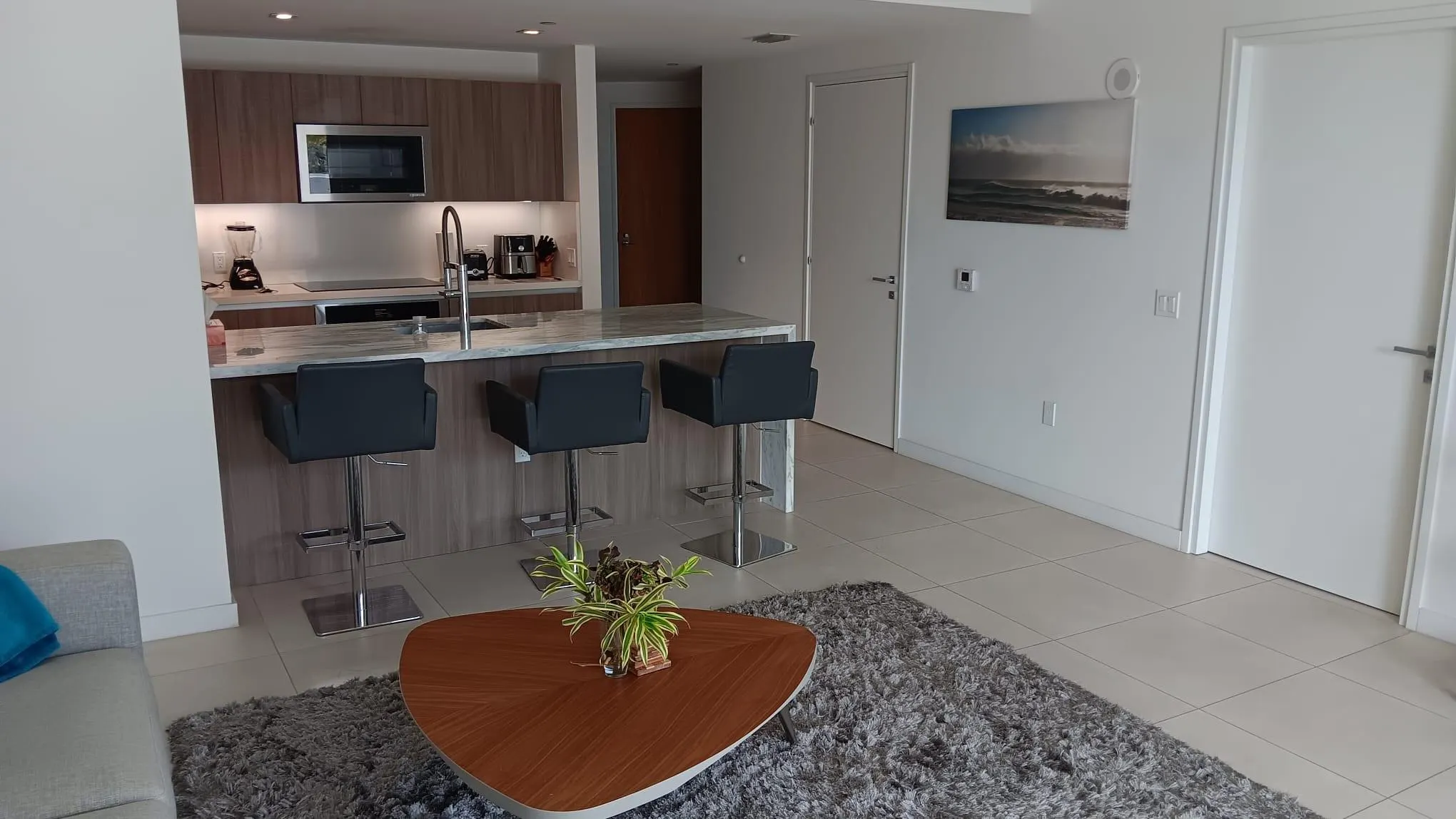 401 N Birch Rd, #401