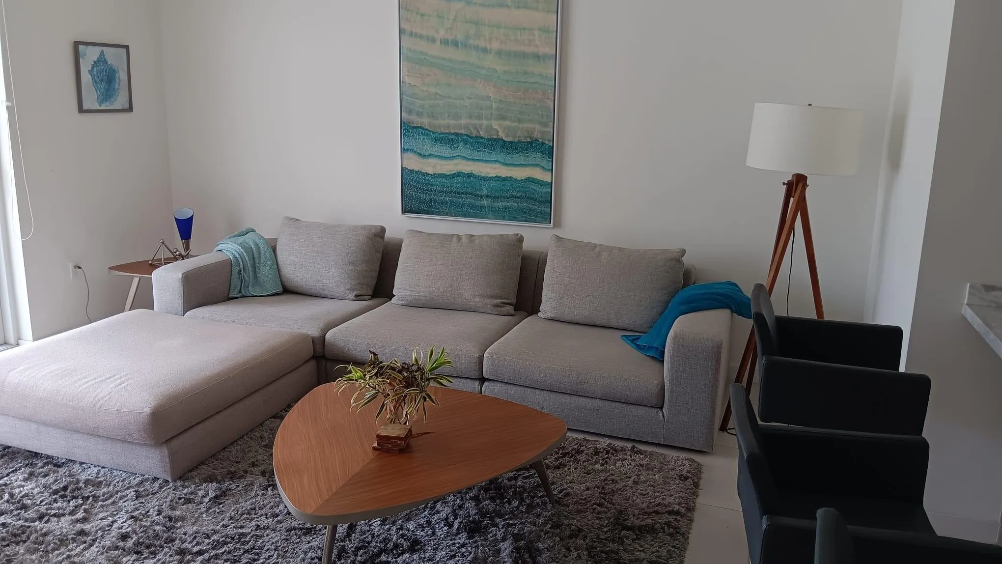 401 N Birch Rd, #401