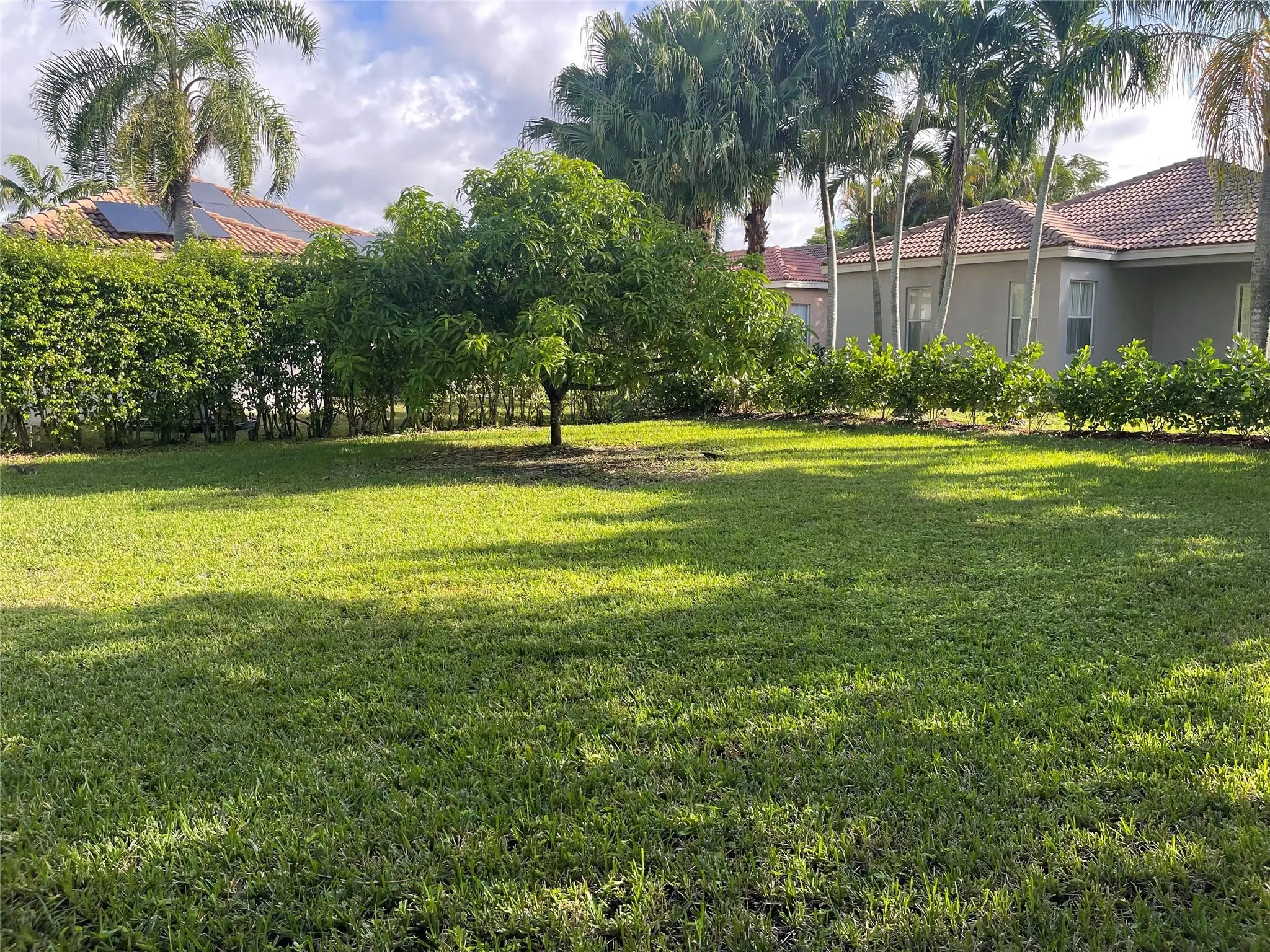 516 Live Oak Ln
