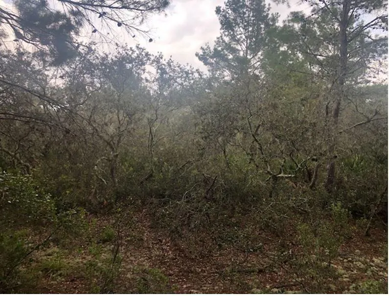 0 Alturas Babson Park Cutoff Rd