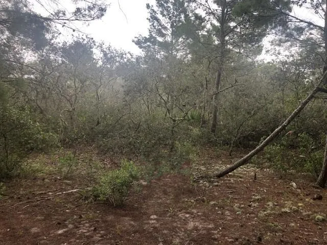 0 Alturas Babson Park Cutoff Rd