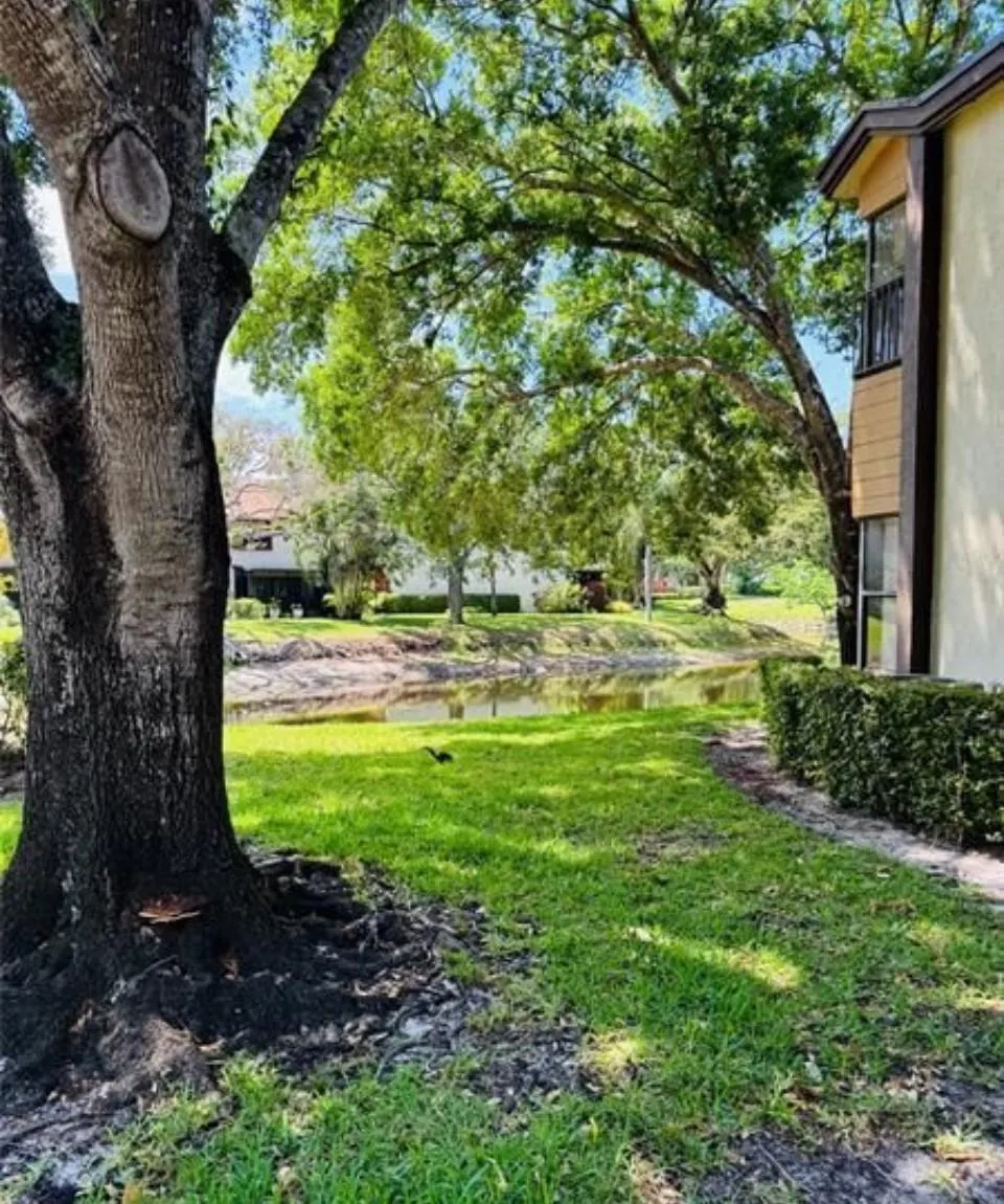 4529 Carambola Cir, #4529