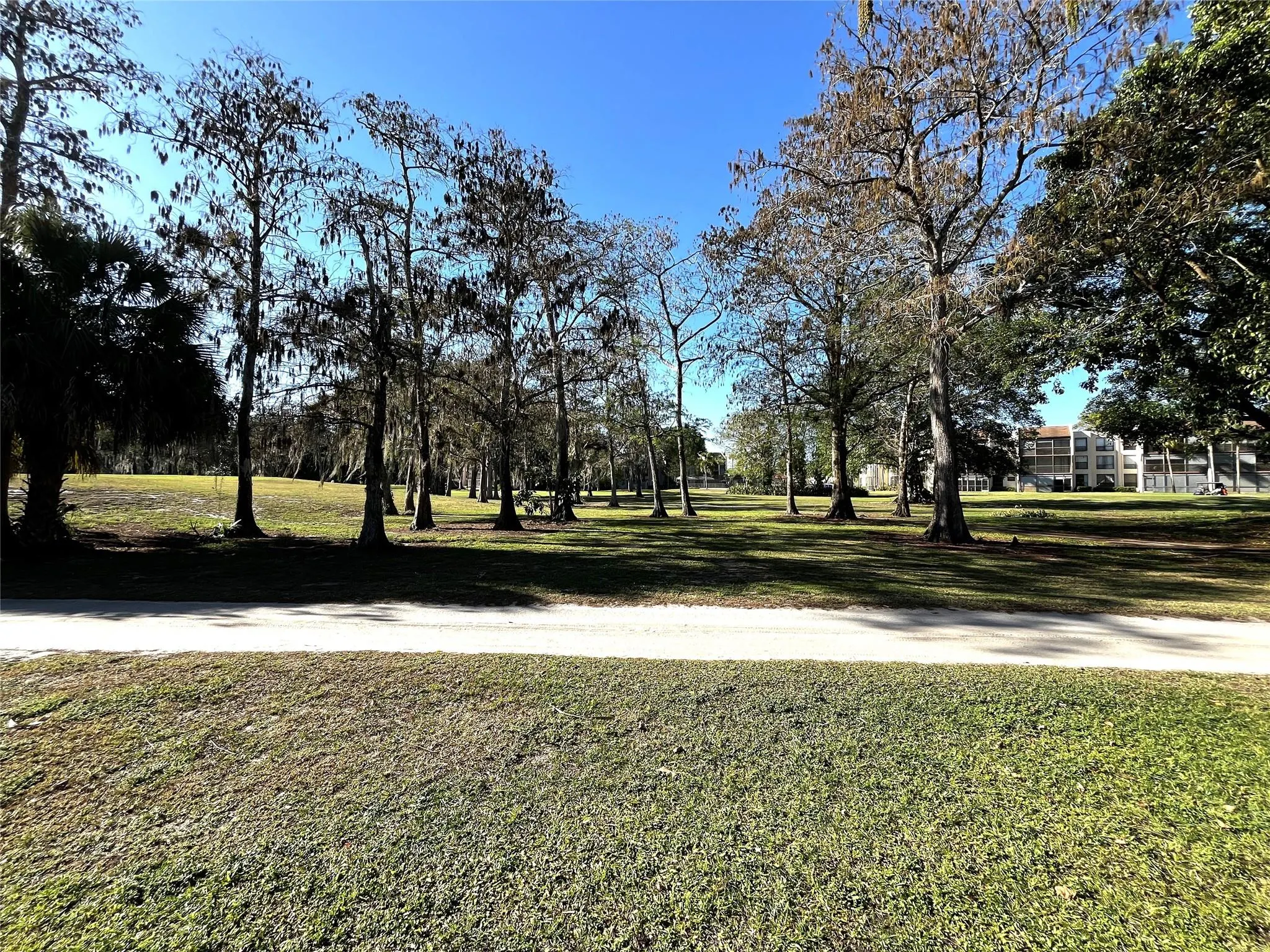 8149 Lagos De Campo Blvd, #B-1
