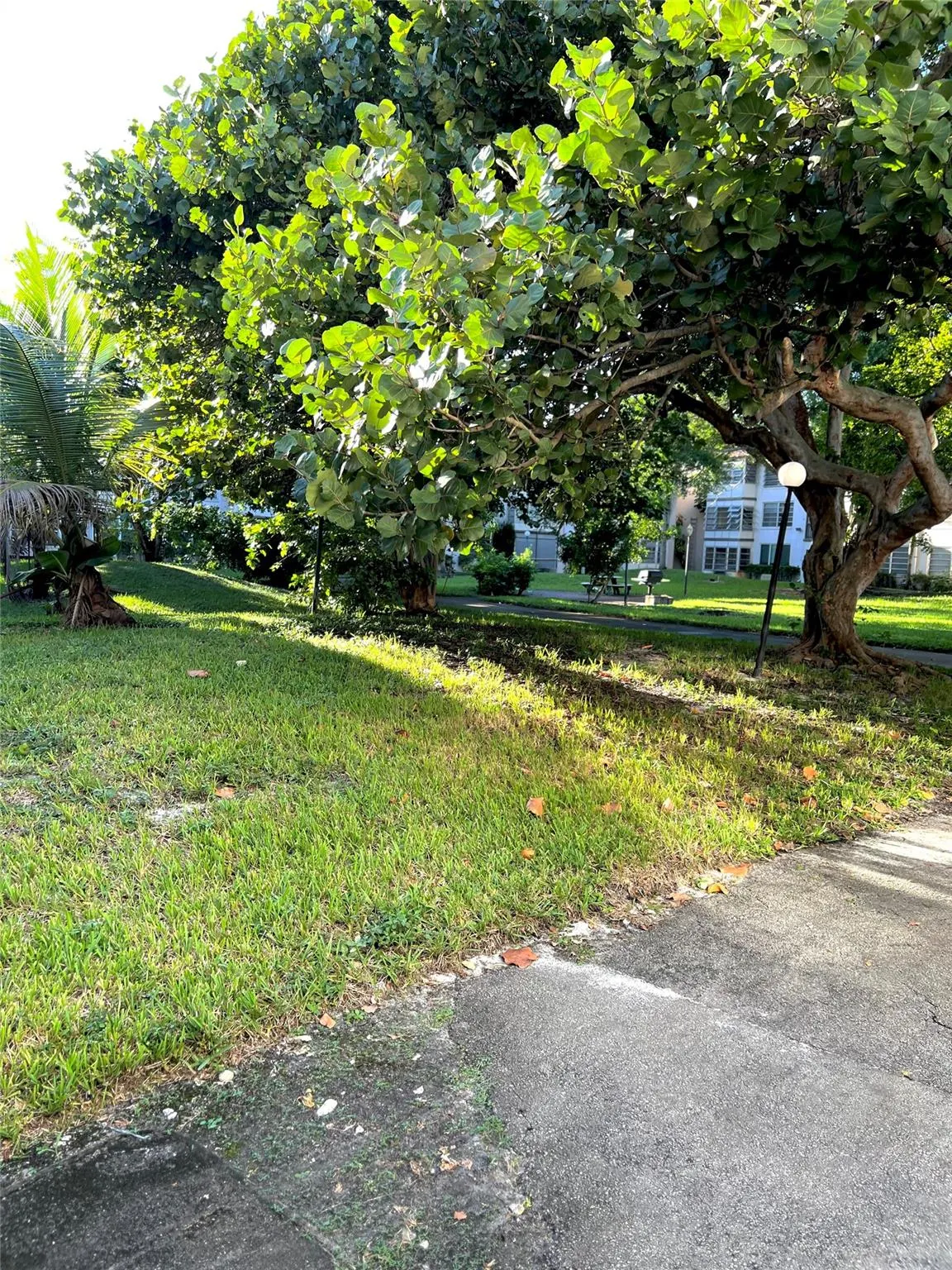 7400 NW 17th St, #205