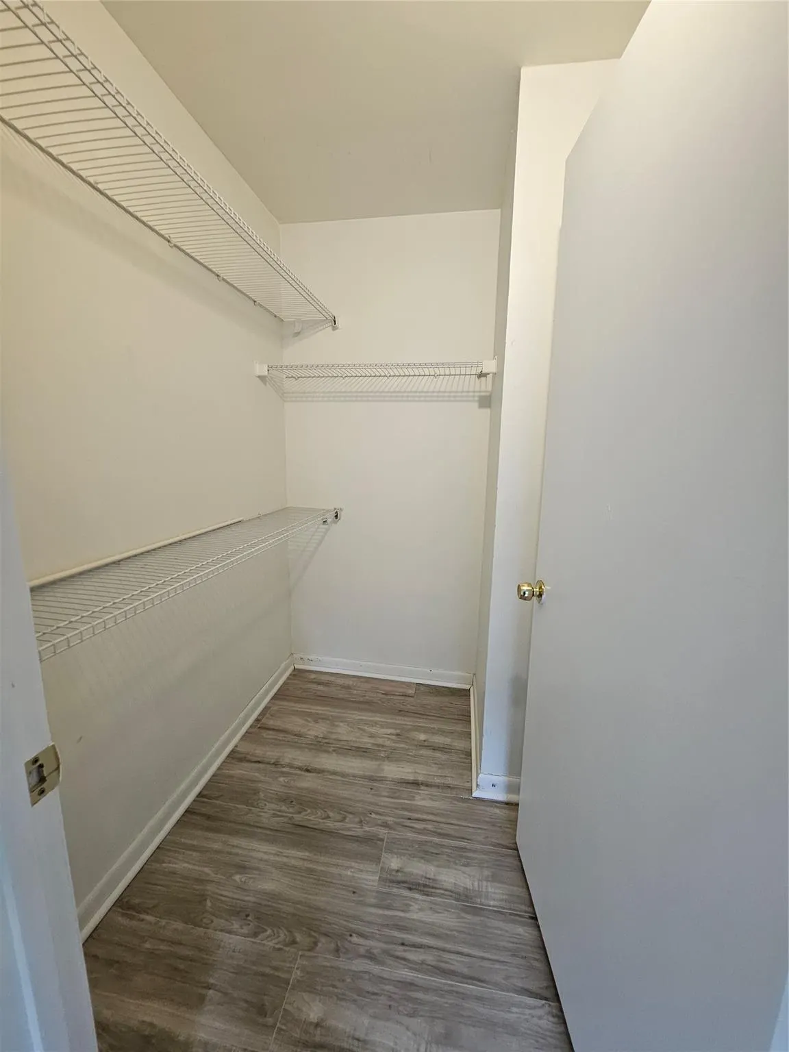 4831 Via Palm Lks, #1202