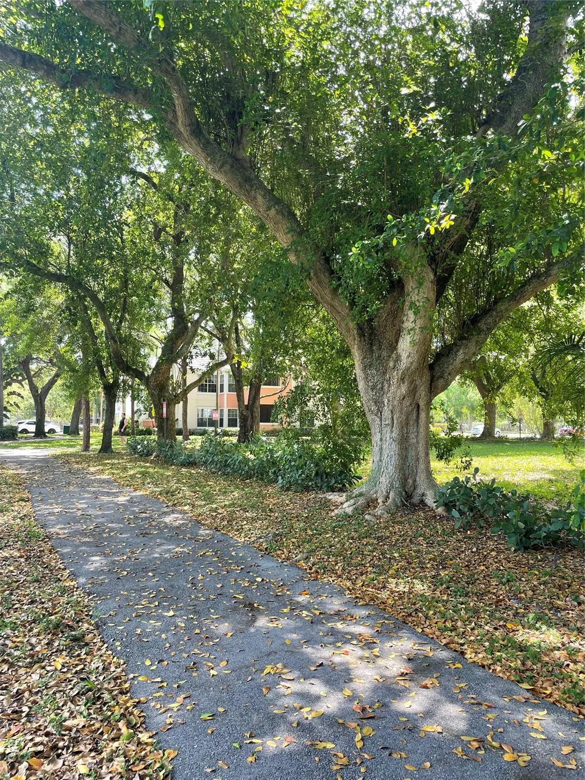 1030 Crystal Way, #104