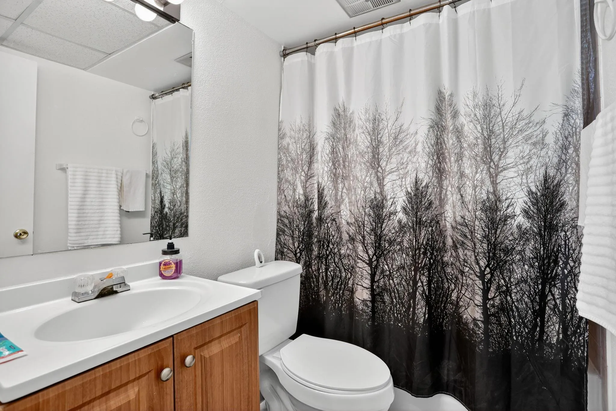 6650 Royal Palm Blvd, #203