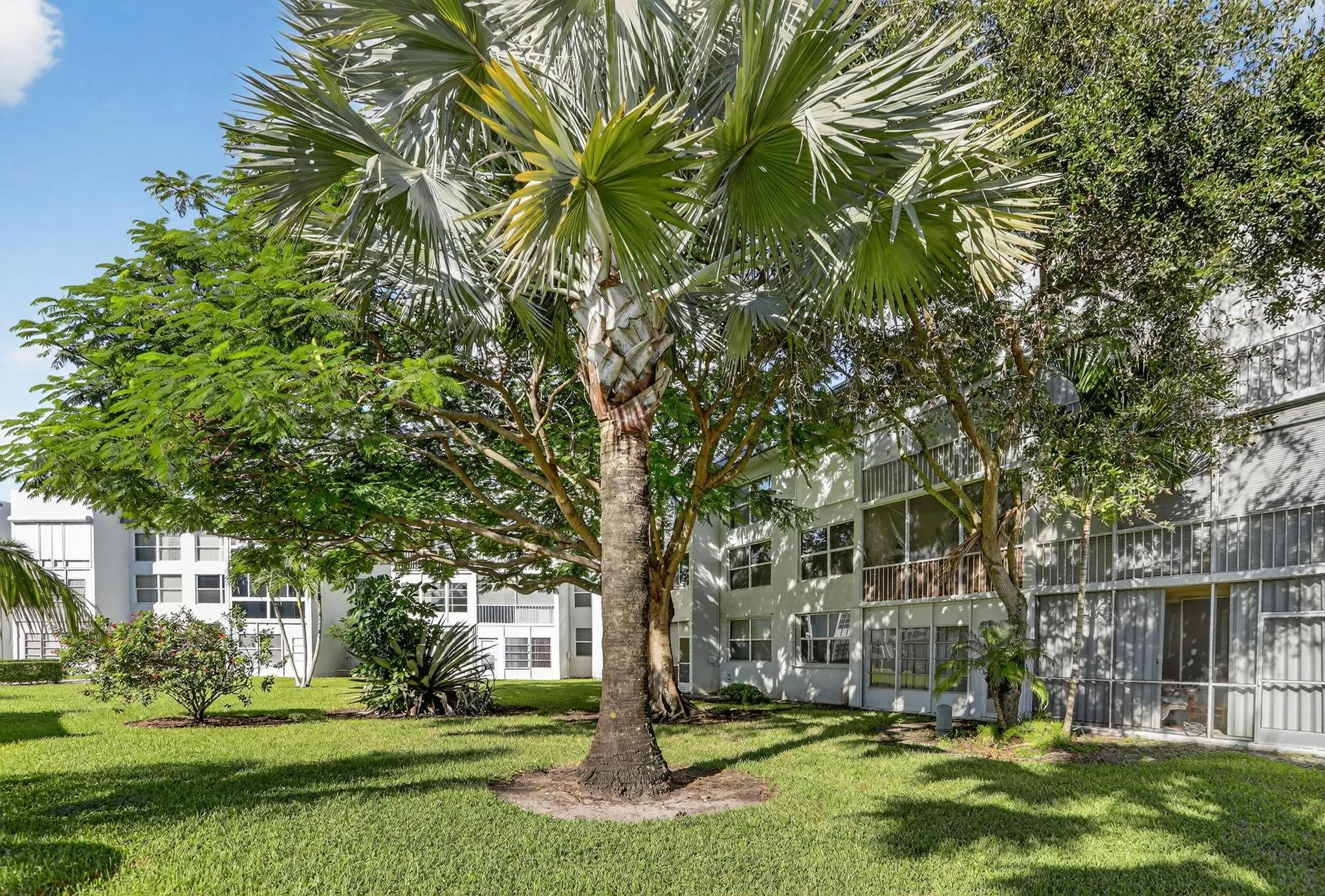 6650 Royal Palm Blvd, #203