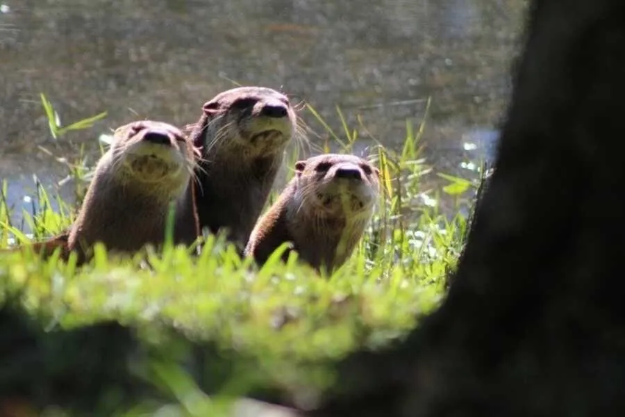 5748 SE Riverboat Dr