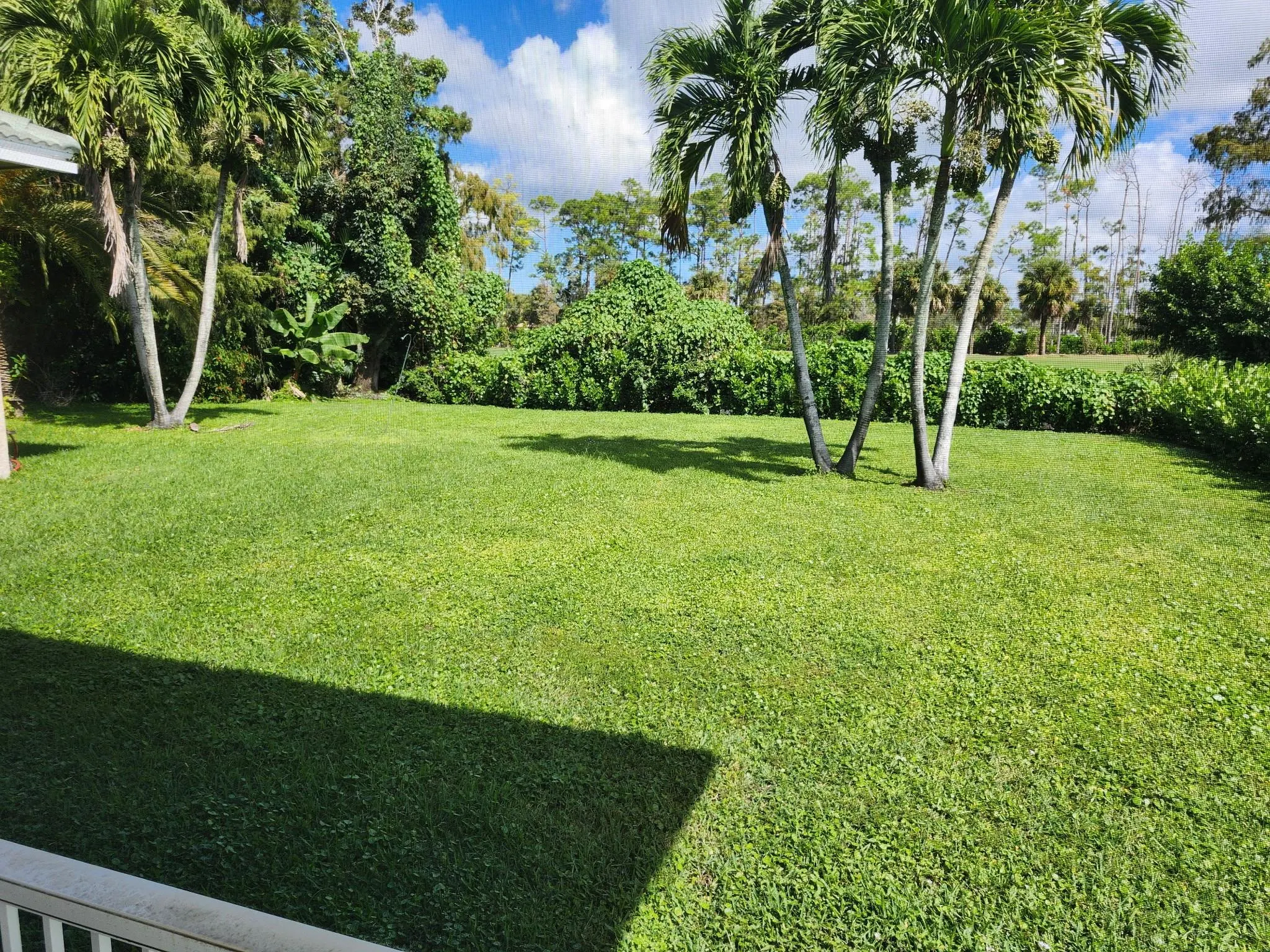 486 Cypress Green Cir