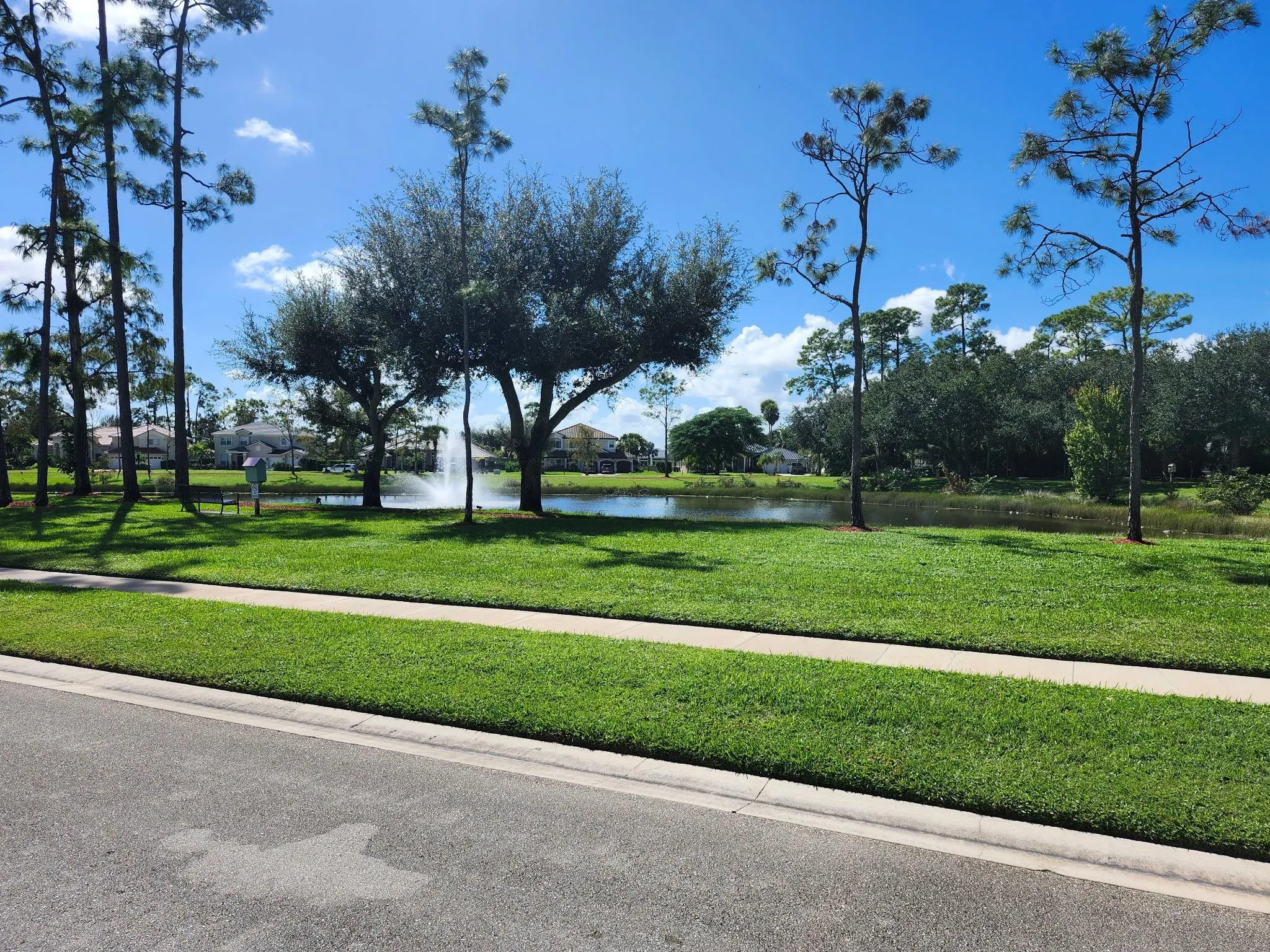 486 Cypress Green Cir