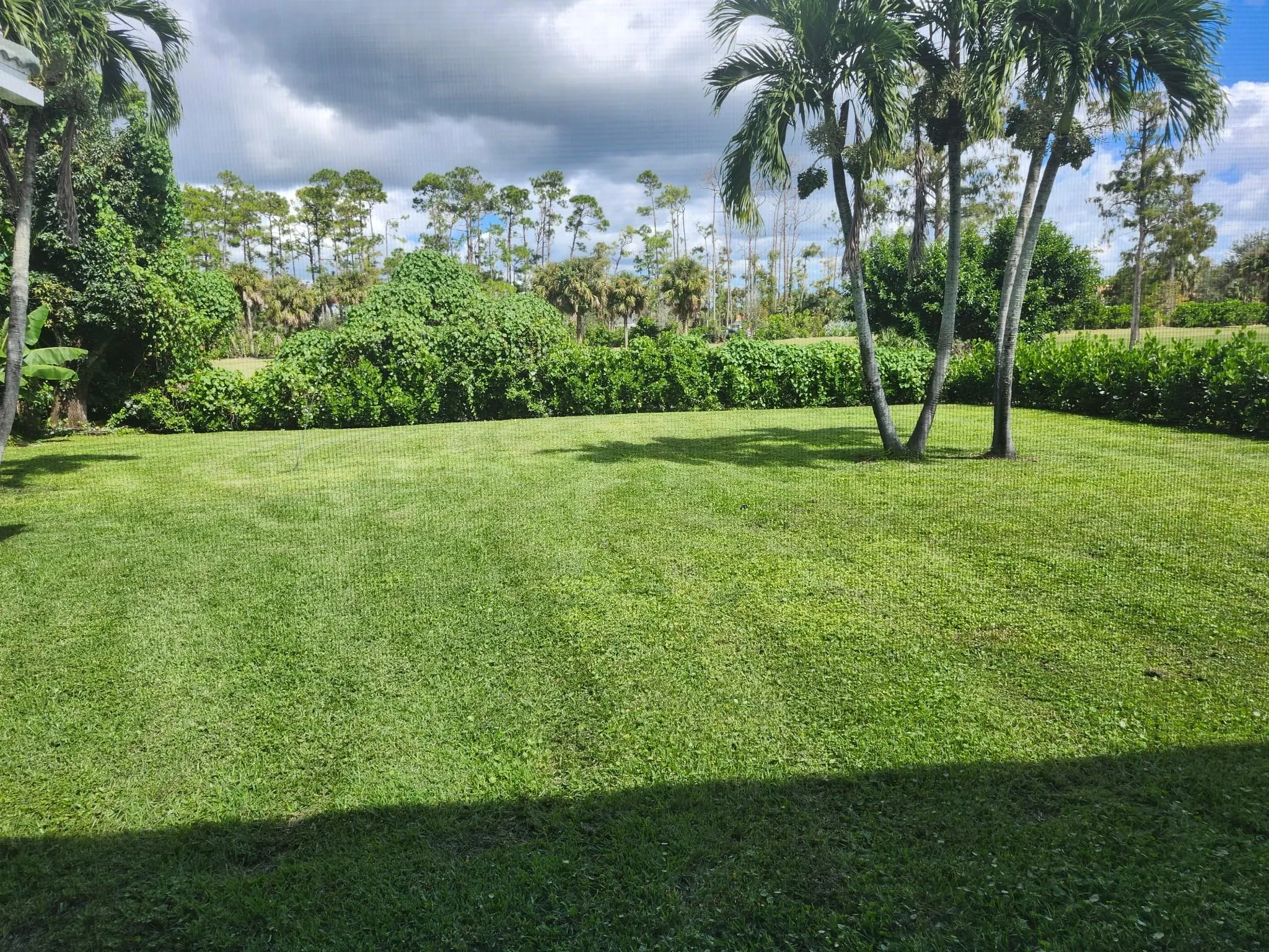 486 Cypress Green Cir