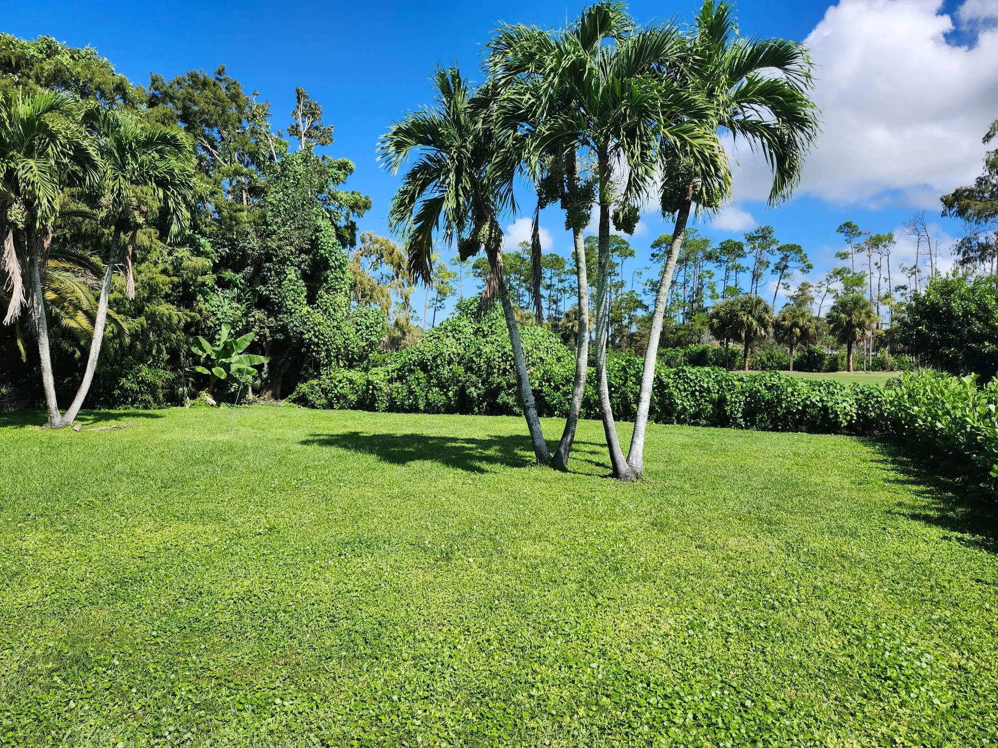 486 Cypress Green Cir