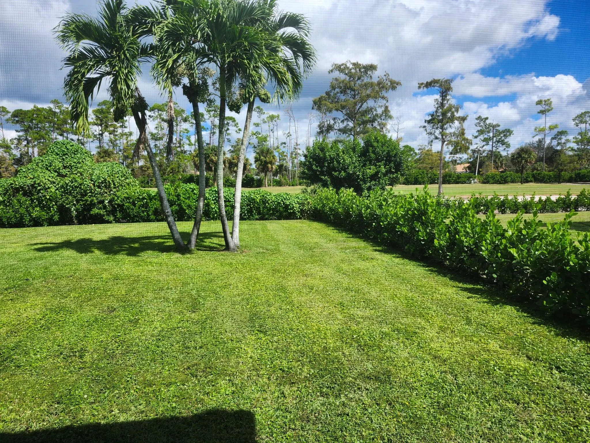 486 Cypress Green Cir